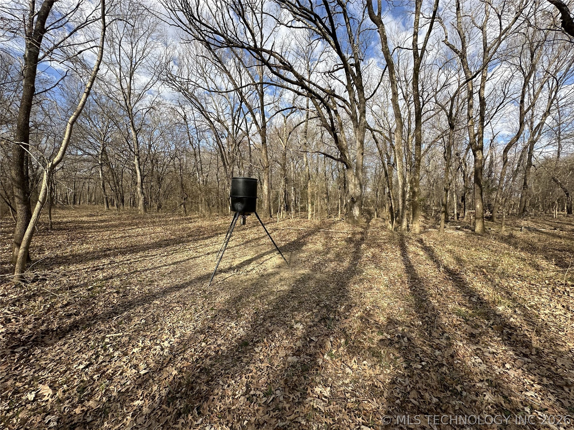 Cooper Bend Property Photo 37