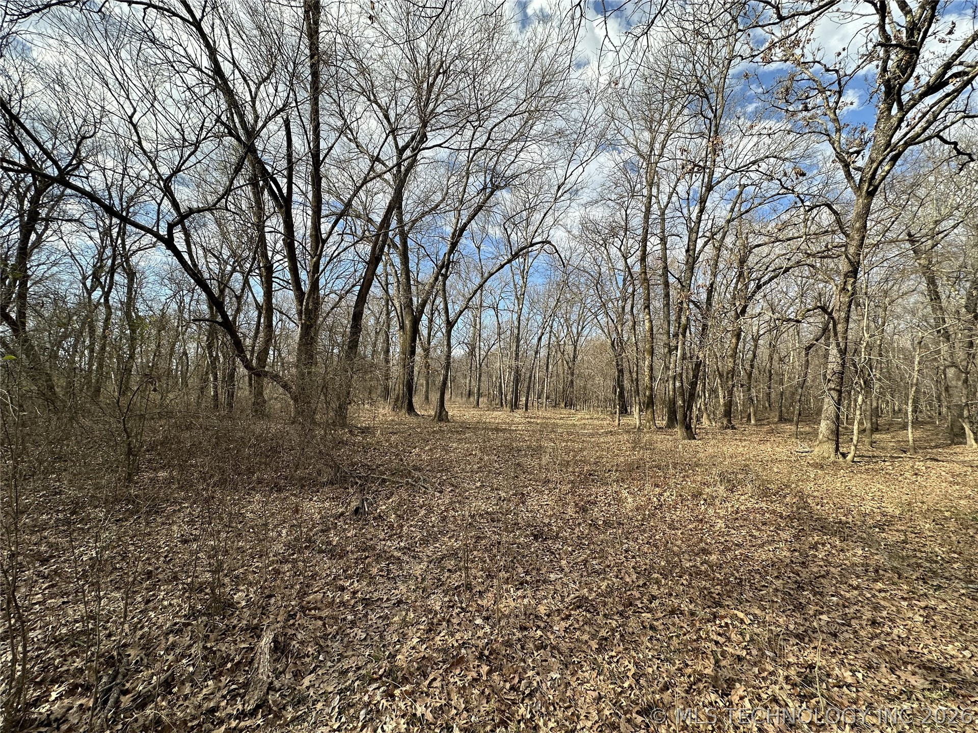 Cooper Bend Property Photo 38