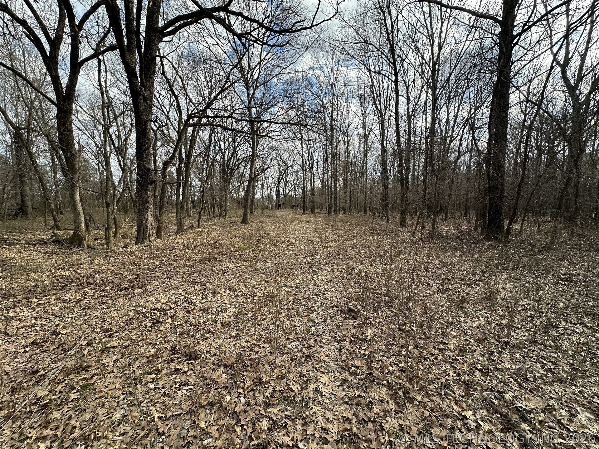 Cooper Bend Property Photo 39