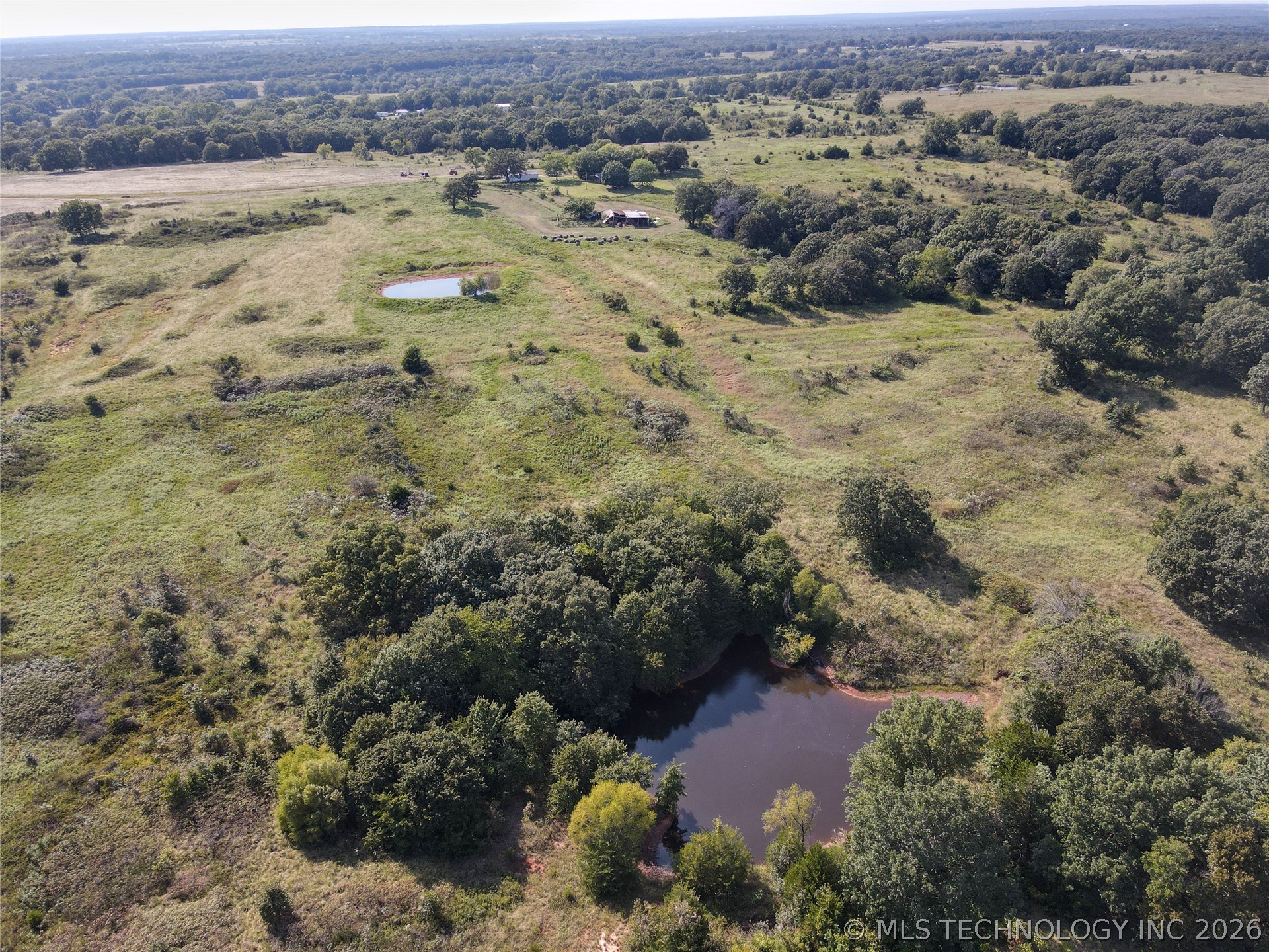 38987 Leo Road Property Photo 12