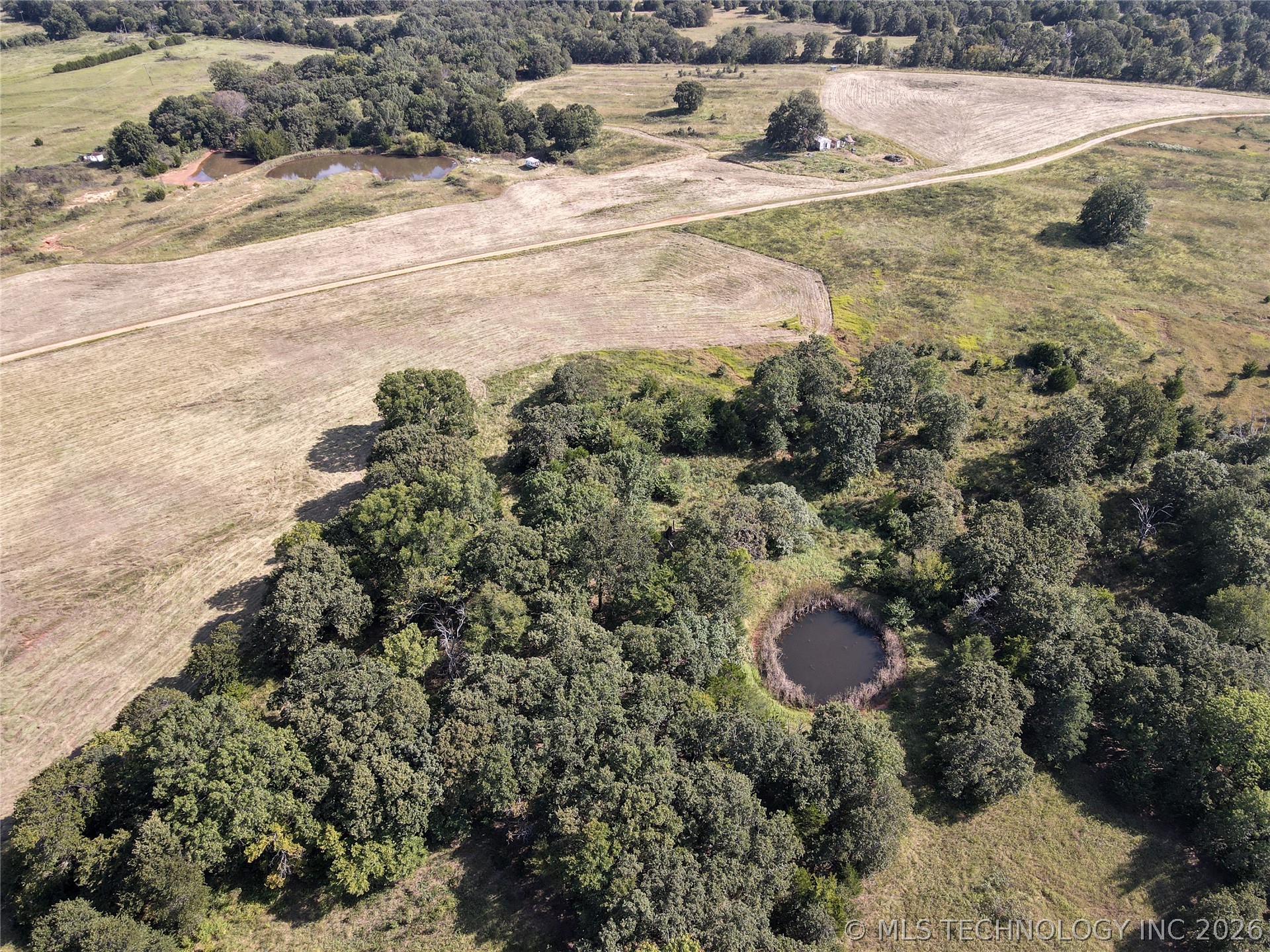 38987 Leo Road Property Photo 13