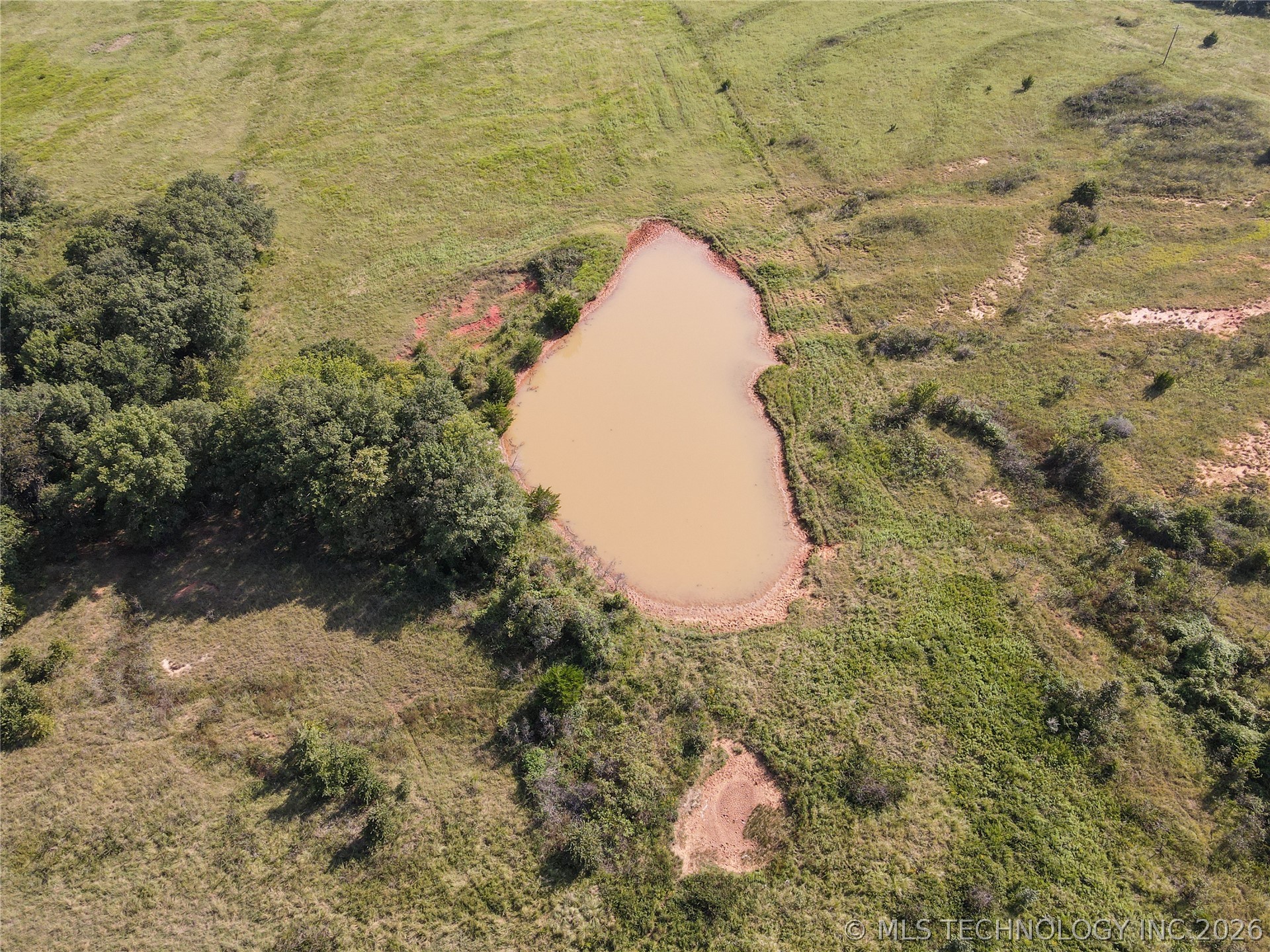 38987 Leo Road Property Photo 15