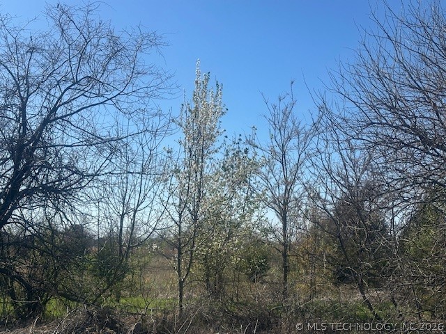 0 Leavenworth Trail Property Photo 5