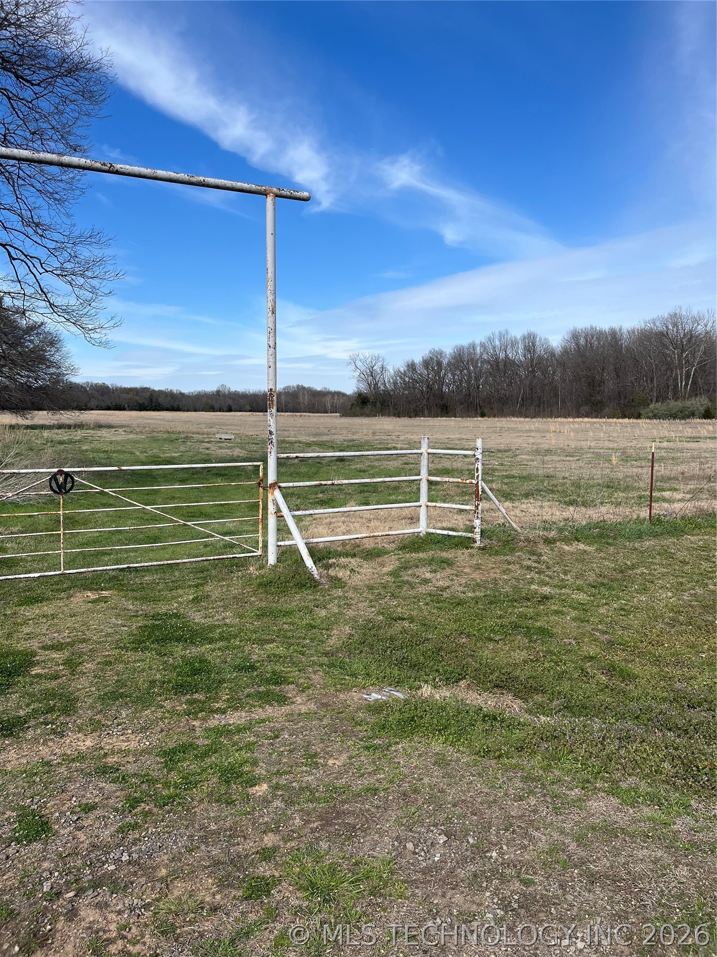 Conifer Road Property Photo 2