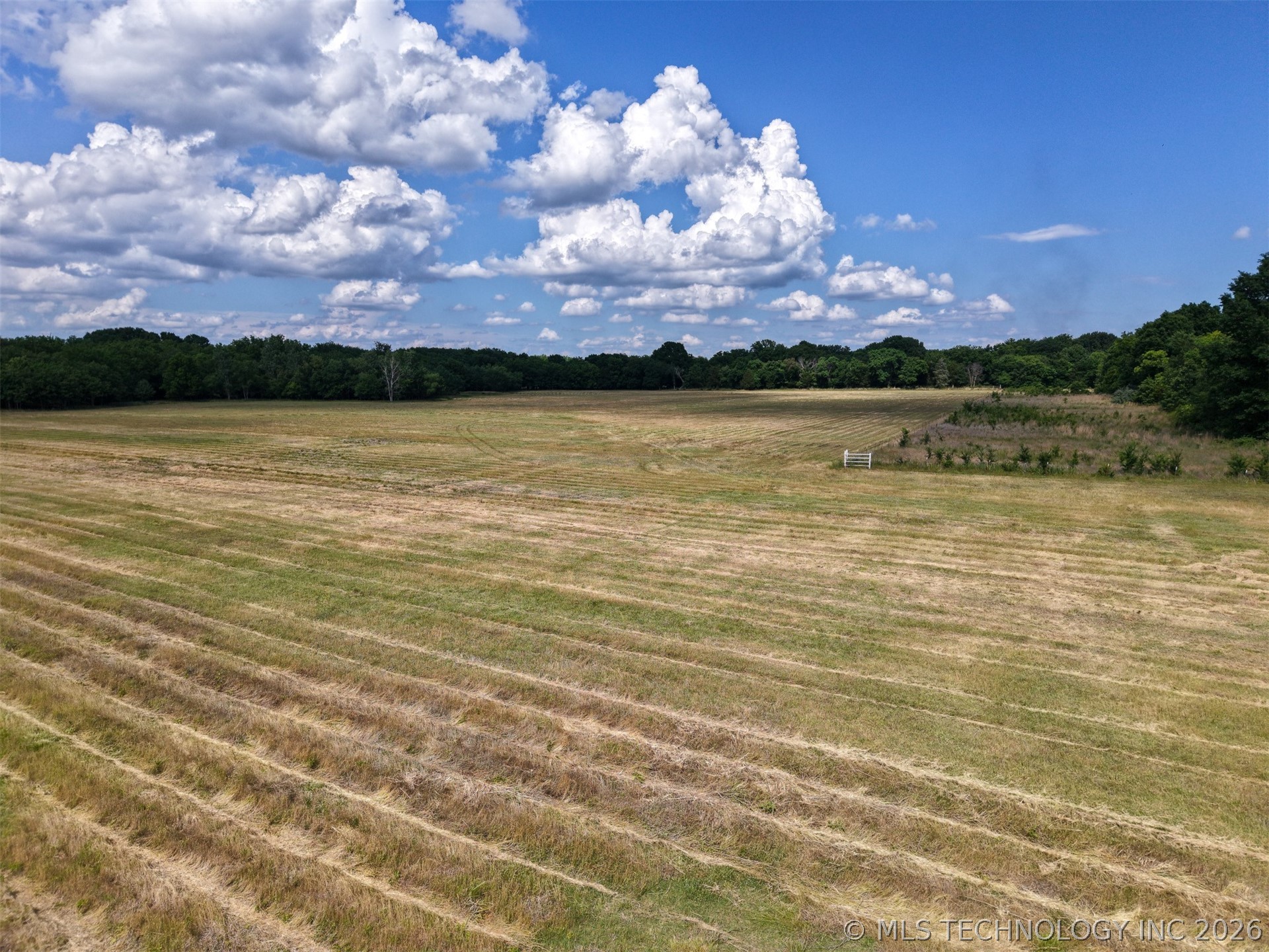 Conifer Road Property Photo 7