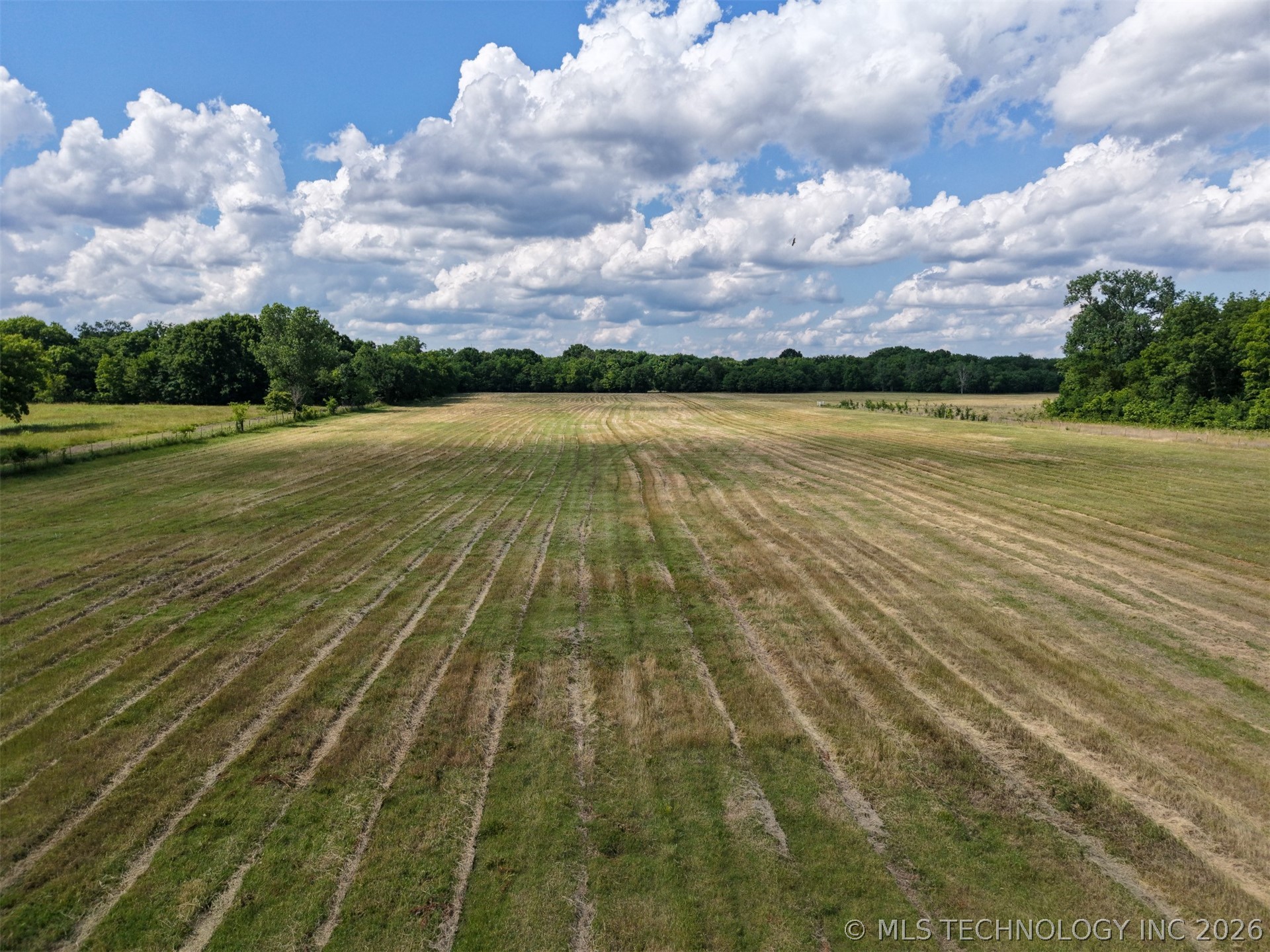 Conifer Road Property Photo 8