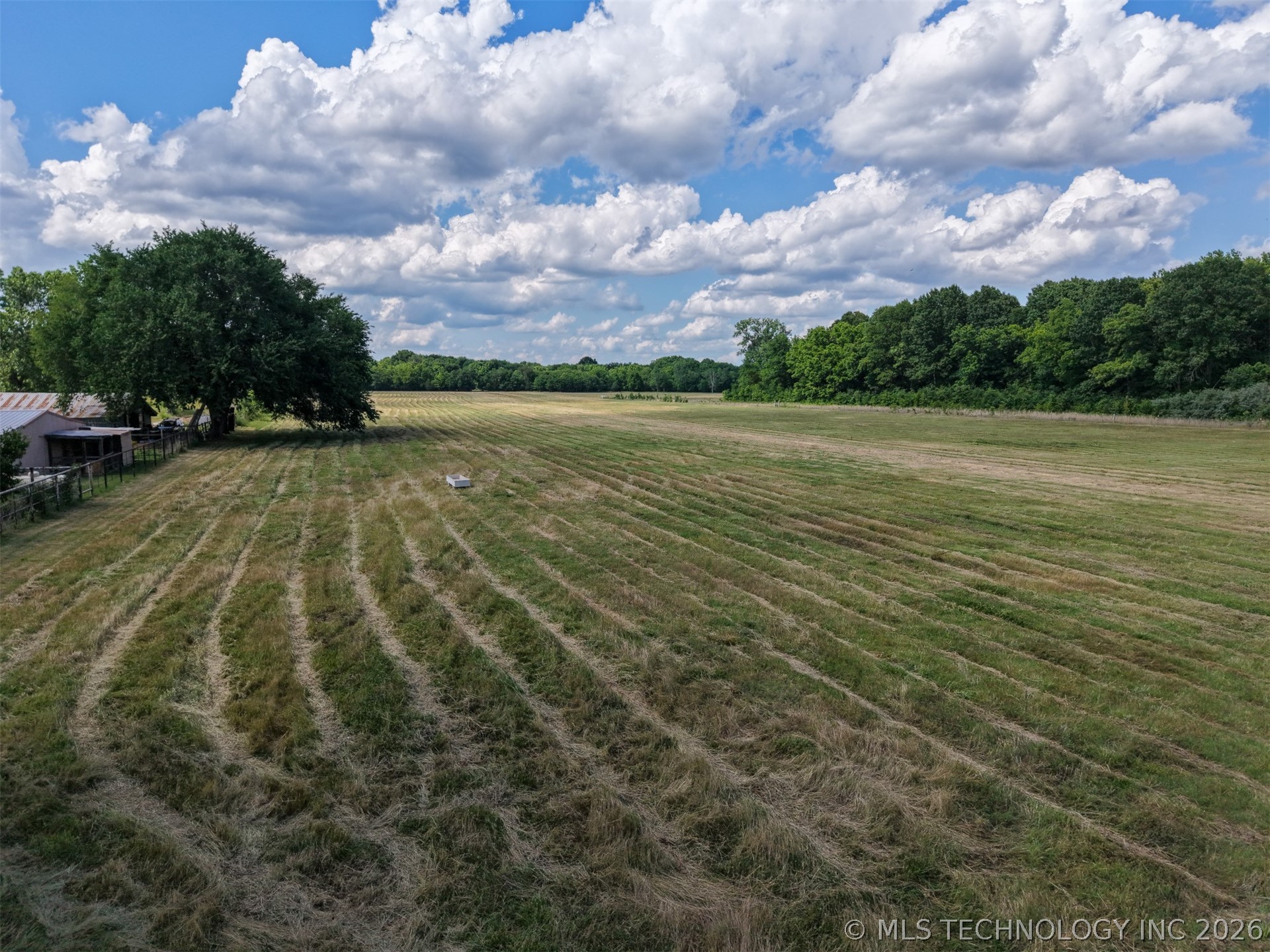 Conifer Road Property Photo 9