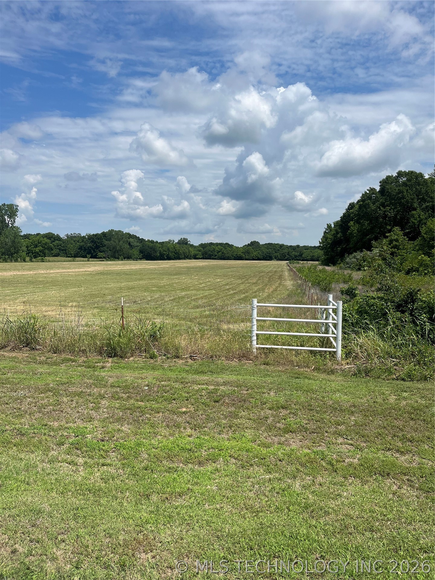 Conifer Road Property Photo 10