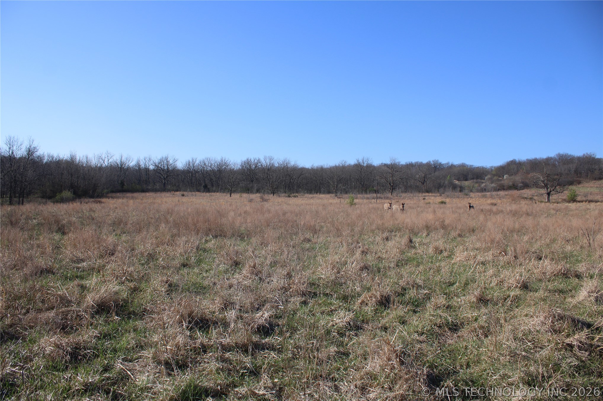 0000 S 4200 Road Property Photo 19