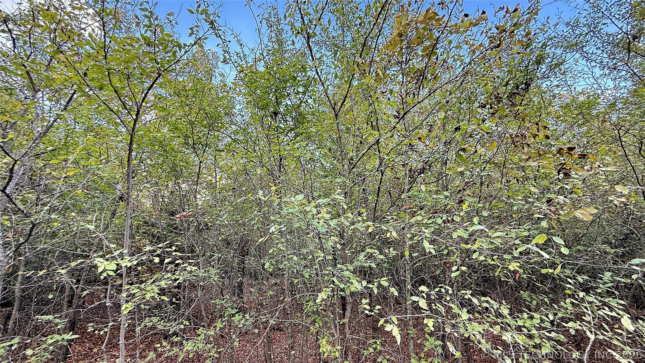 2 S 4531 Road Property Photo 3