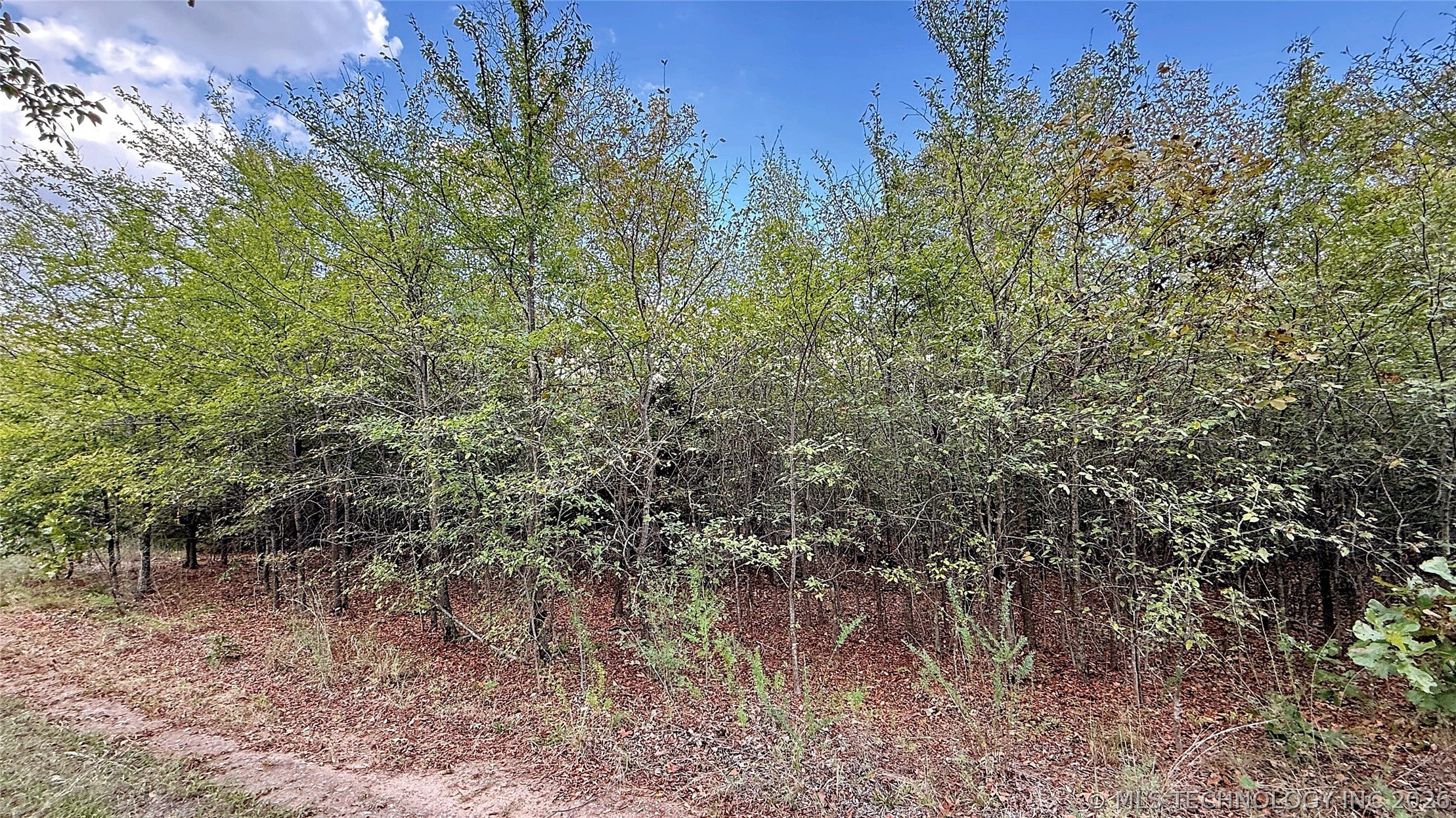 2 S 4531 Road Property Photo 5