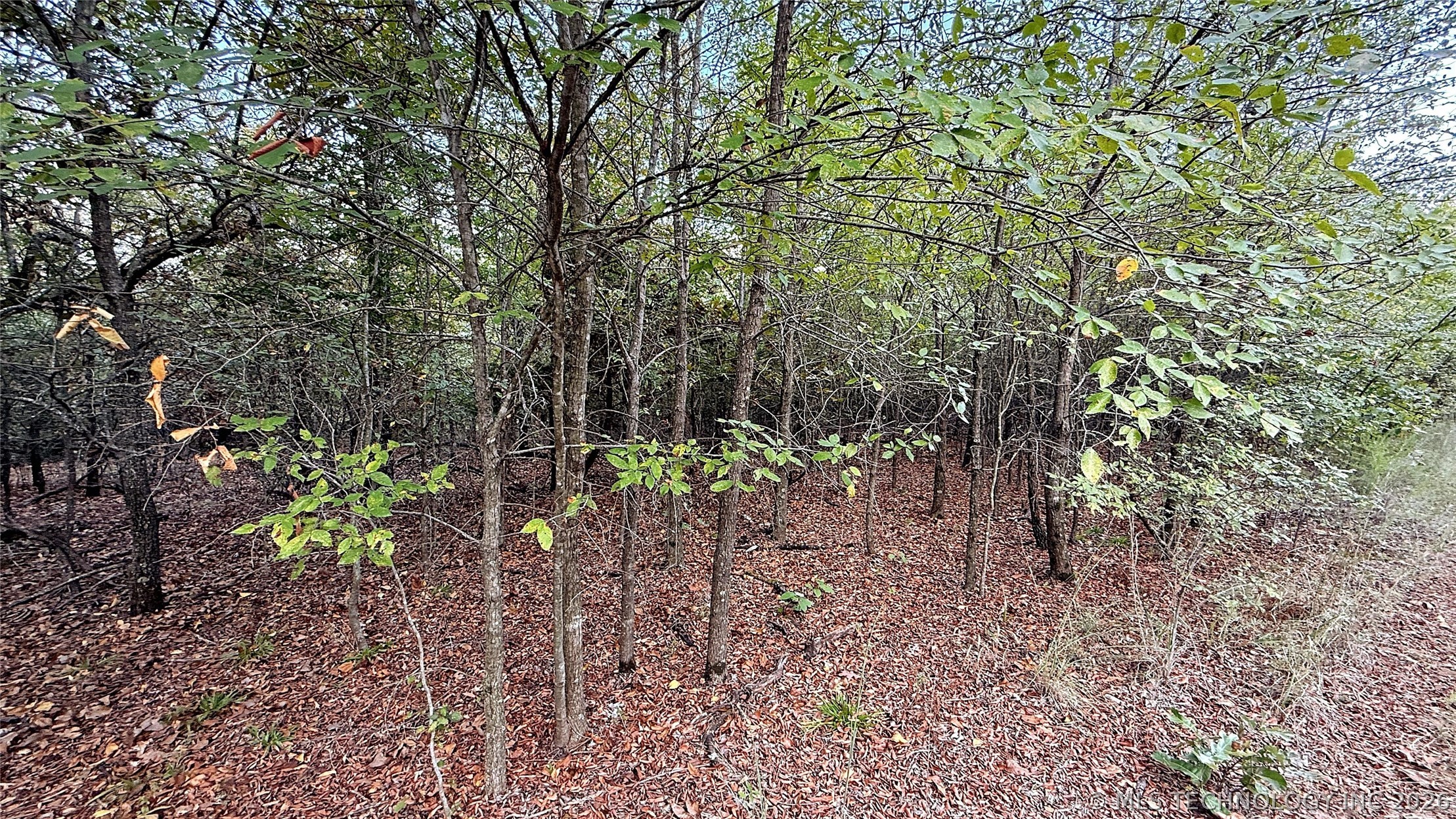 2 S 4531 Road Property Photo 6