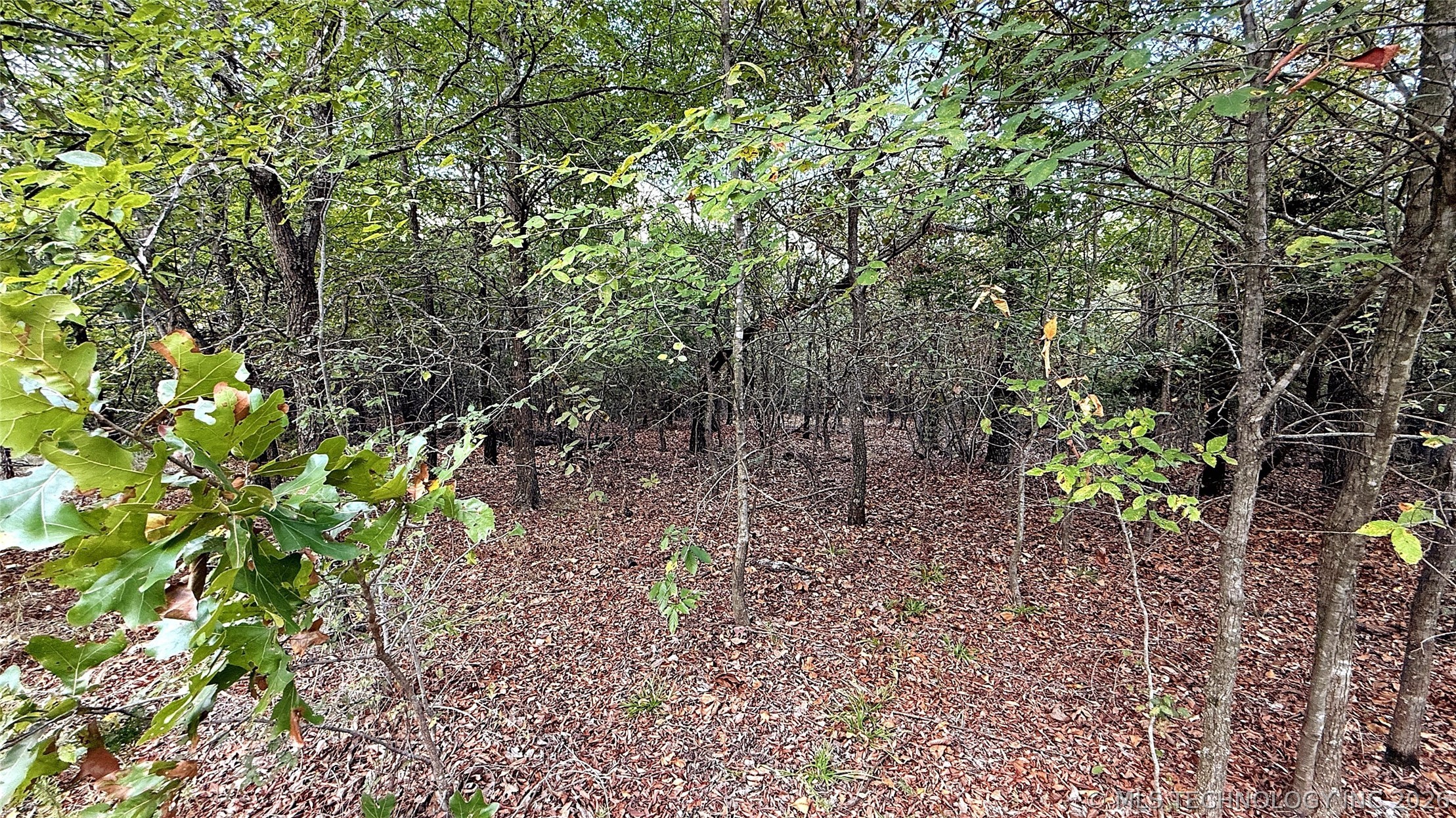 2 S 4531 Road Property Photo 8