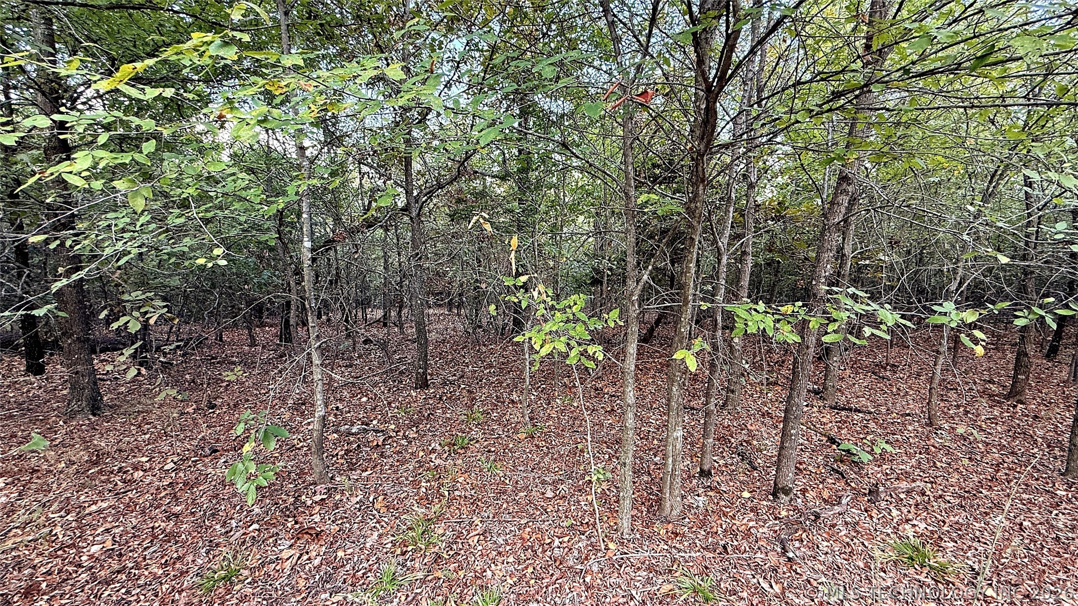 2 S 4531 Road Property Photo 9