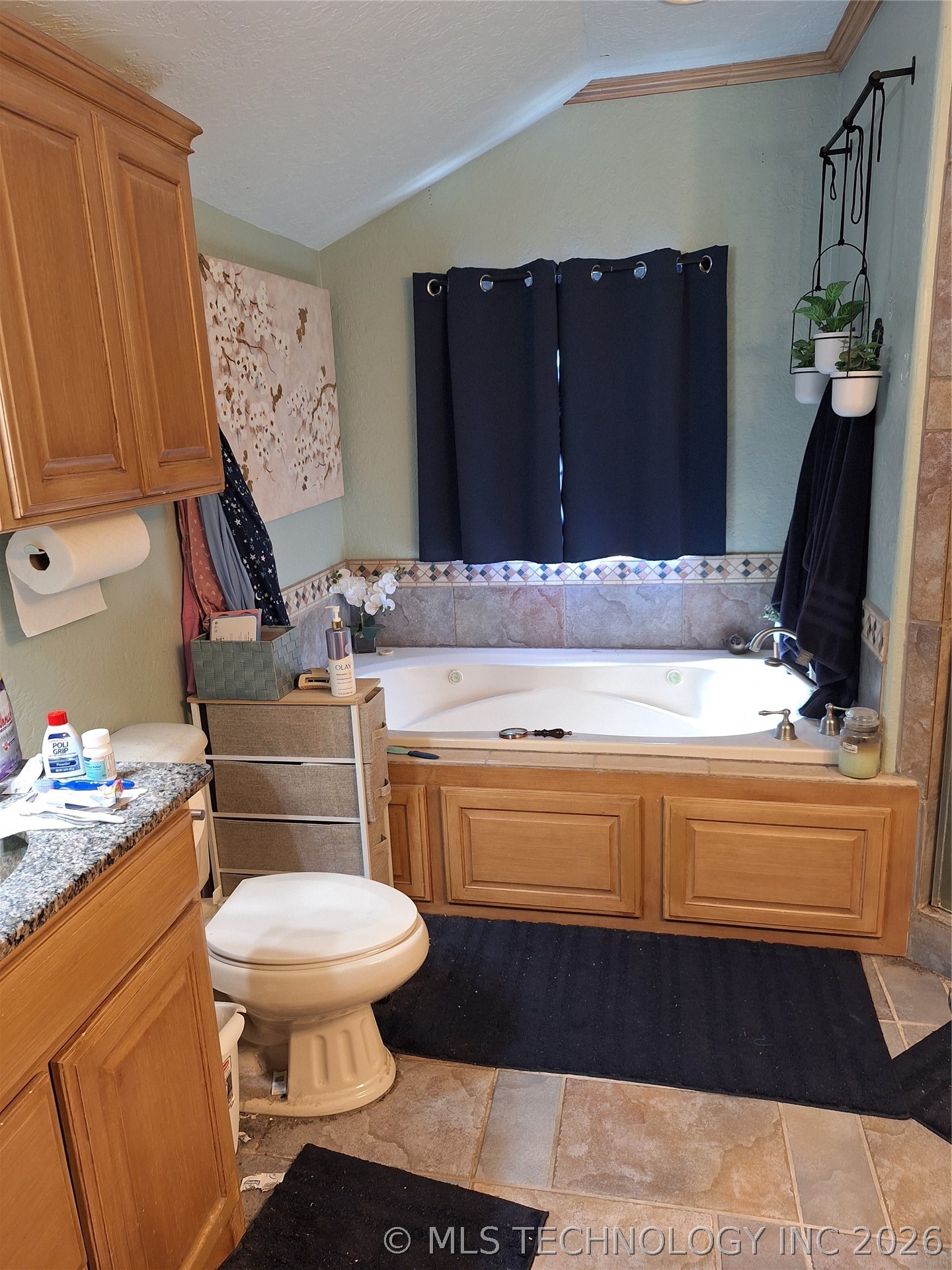 729 W Plato Road Property Photo 27