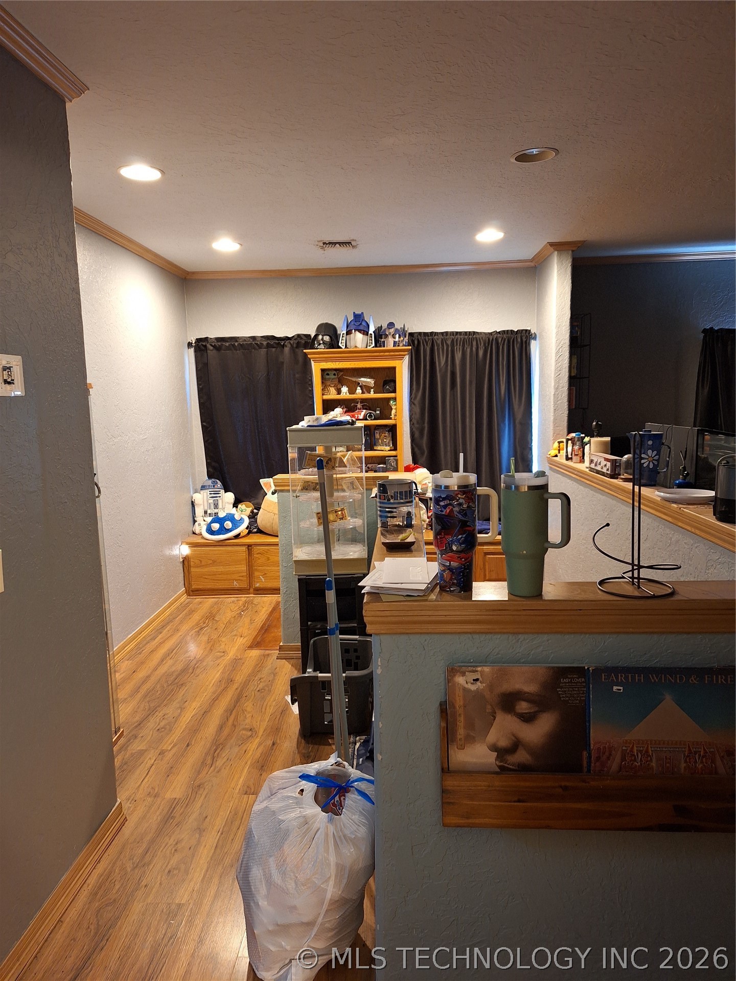 729 W Plato Road Property Photo 43