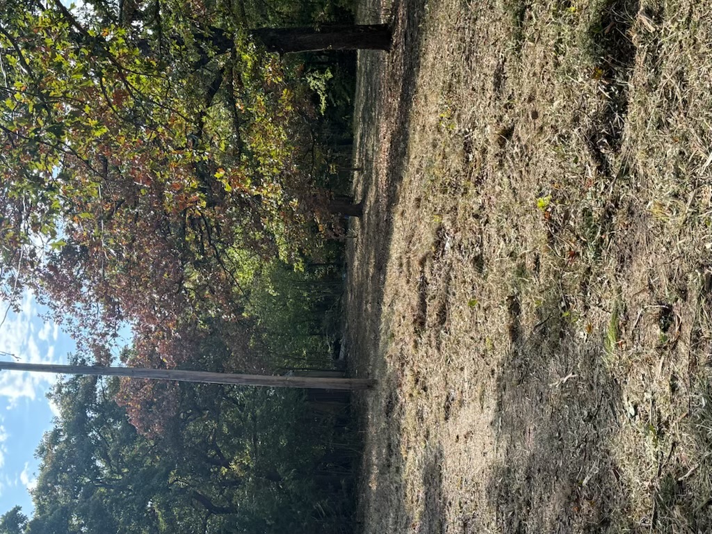 13506 Kevin Lane Property Photo 6