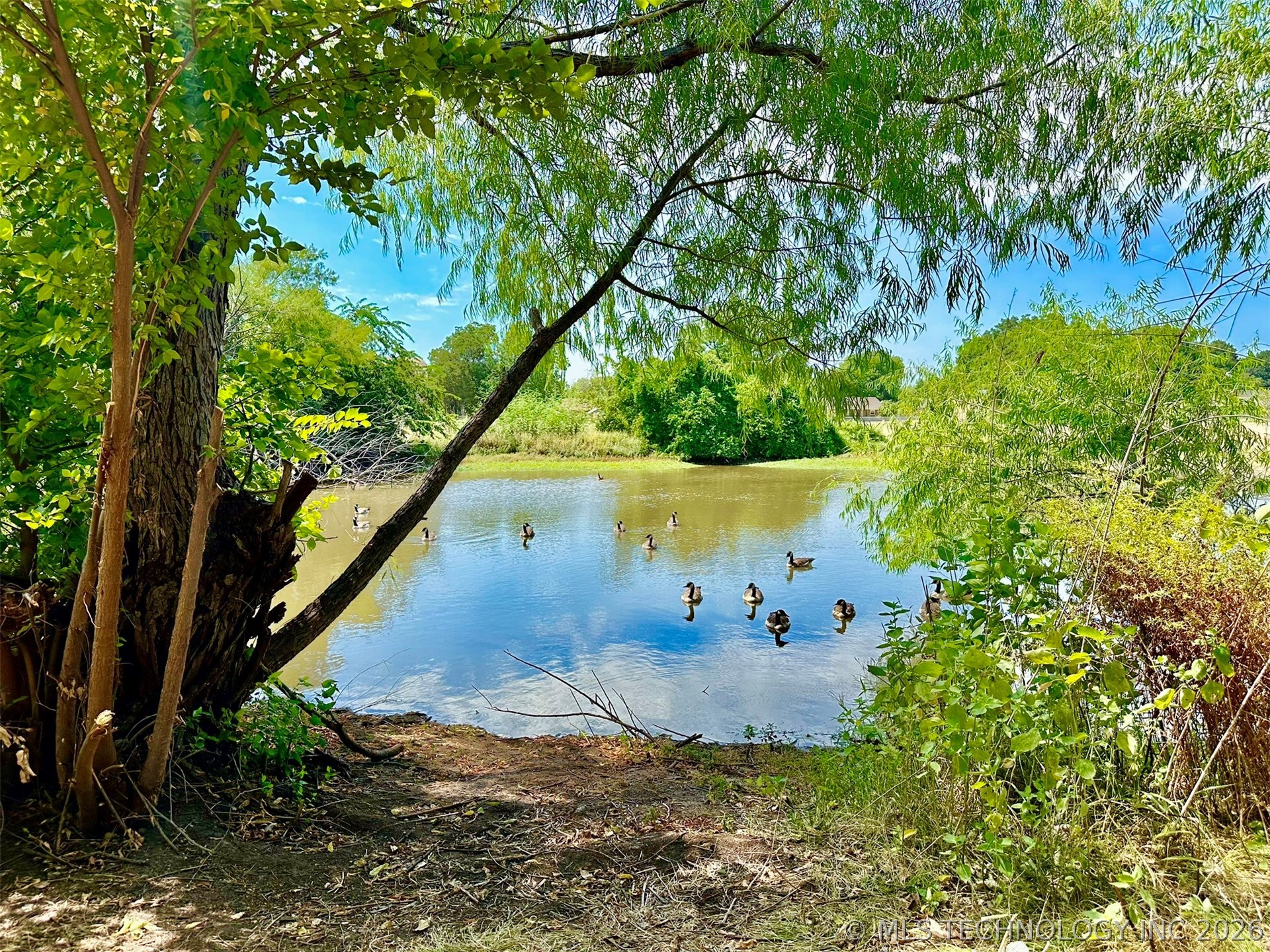 Osage Property Photo 2