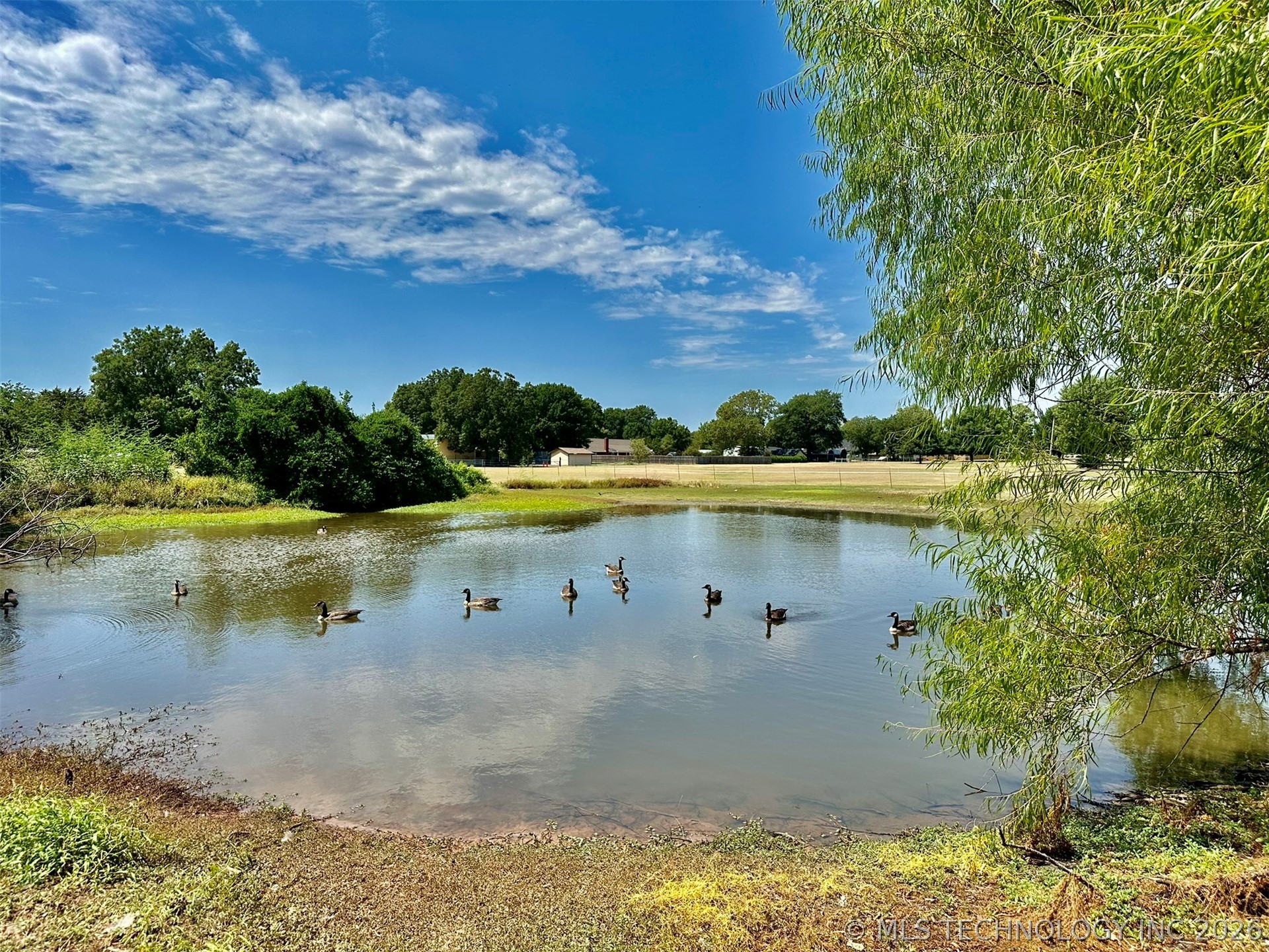 Osage Property Photo 4