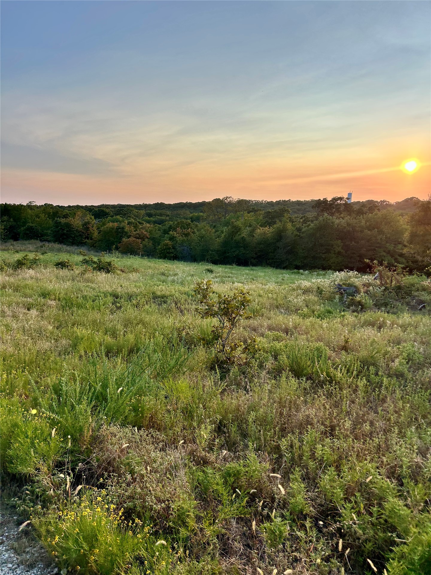 State Highway 31 Property Photo 3