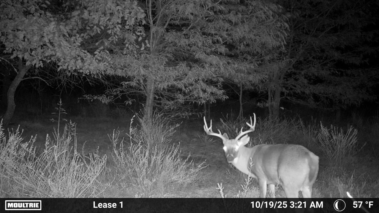 State Highway 31 Property Photo 4