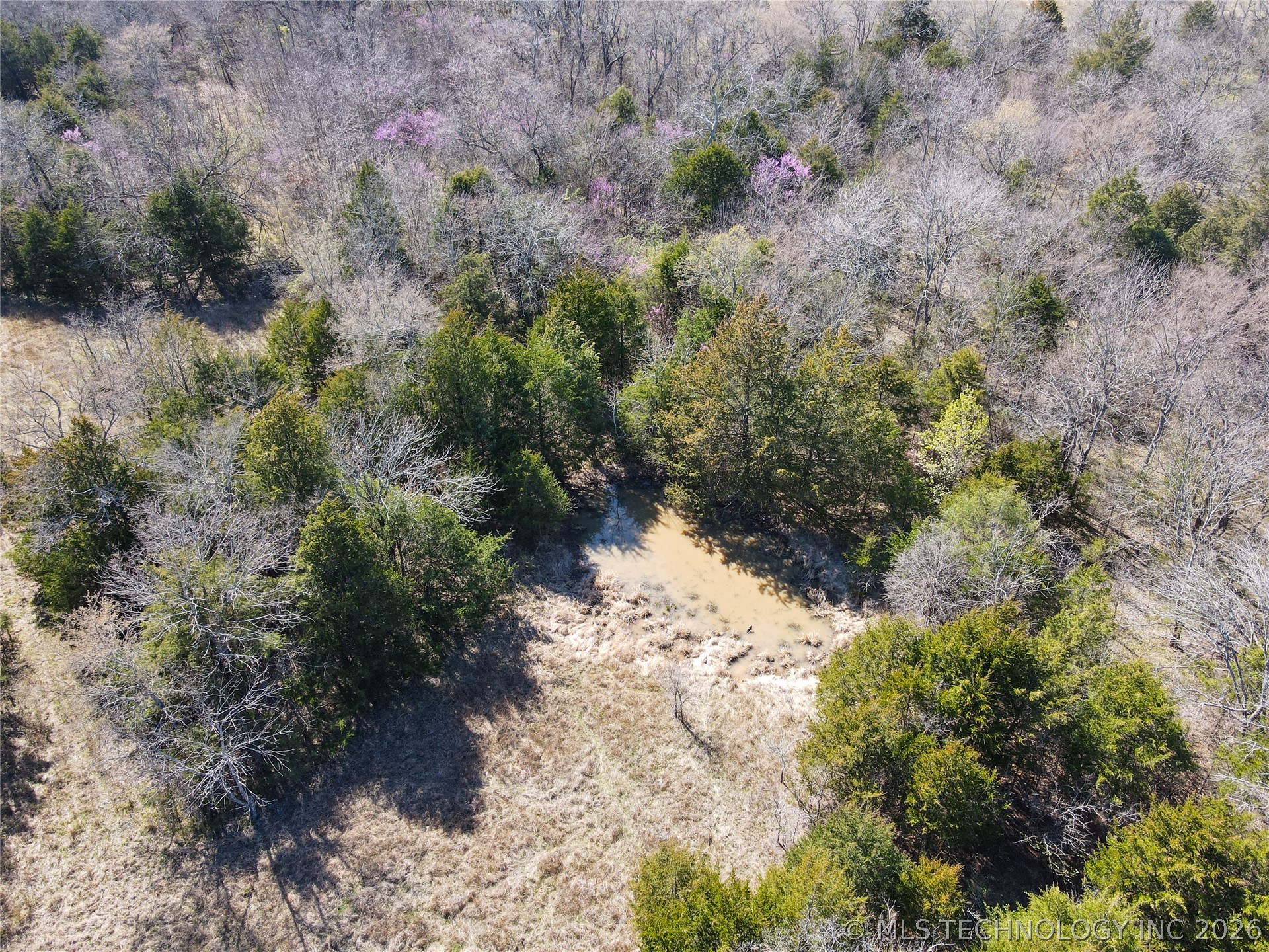 State Highway 31 Property Photo 26