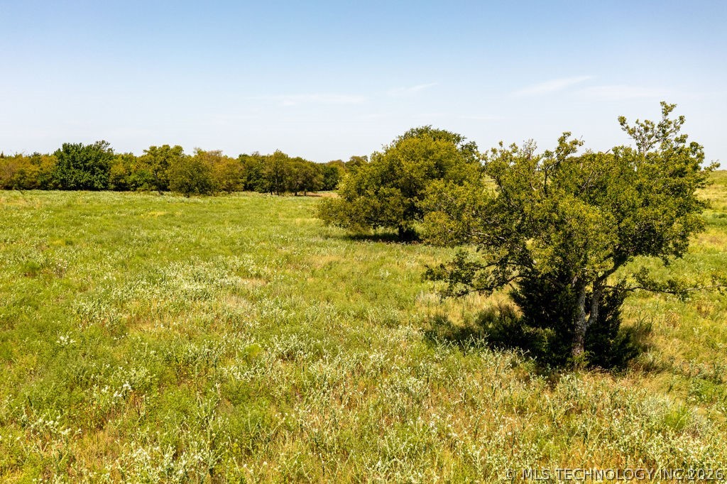 10692 Old Willis Road Property Photo 21