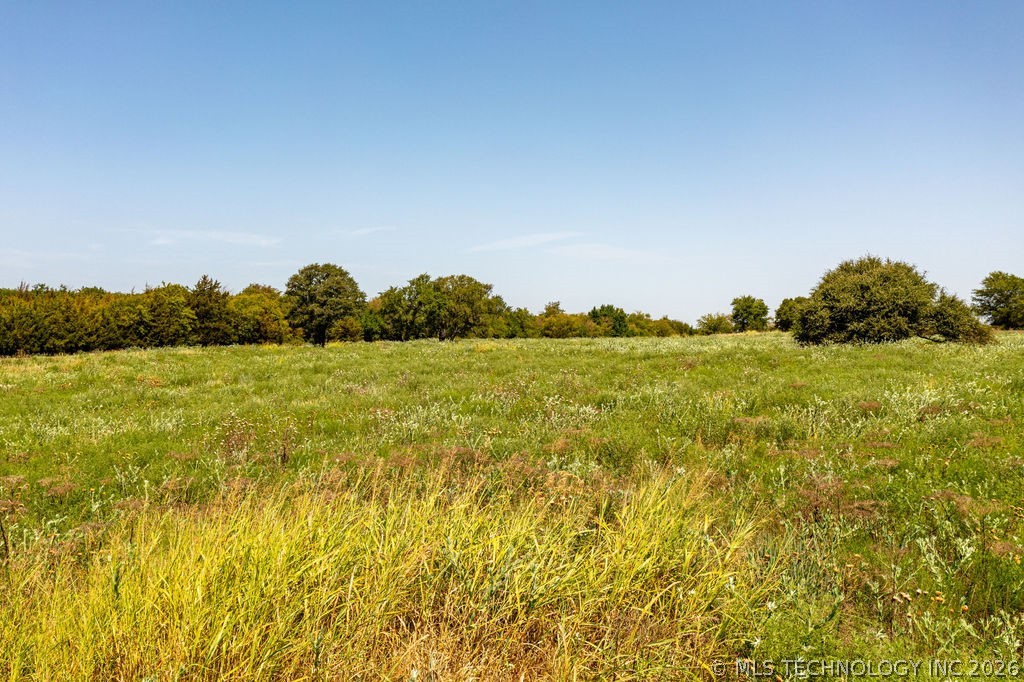 10692 Old Willis Road Property Photo 23