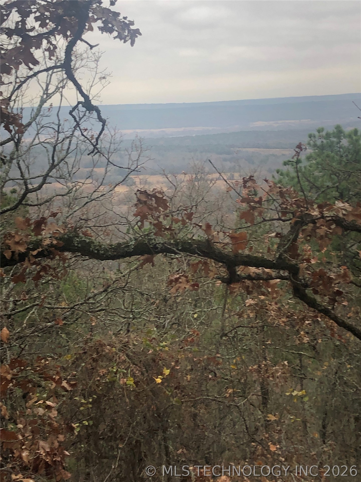 Miller Jumbo Road N Property Photo 8