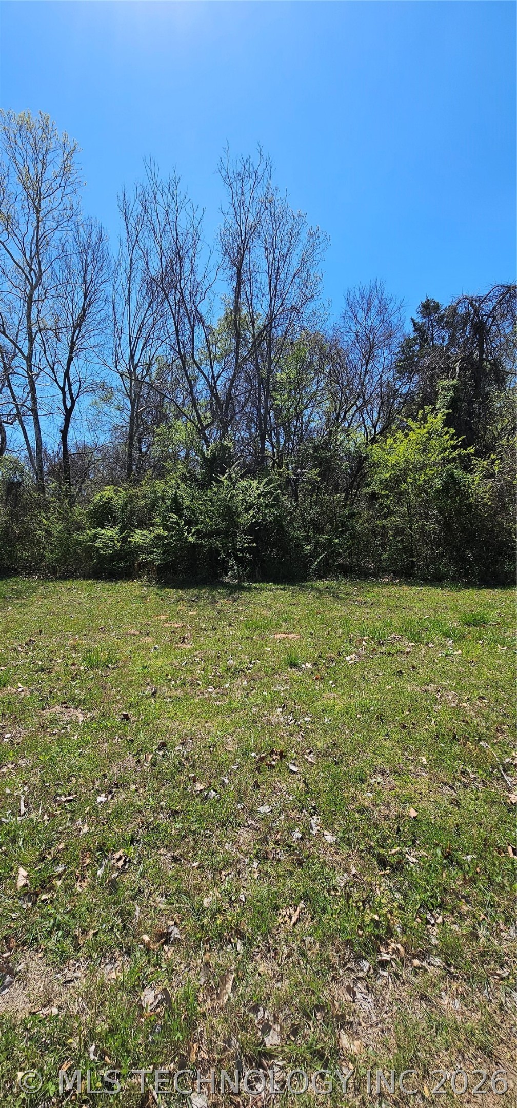 9 Coon Creek Drive Property Photo 9