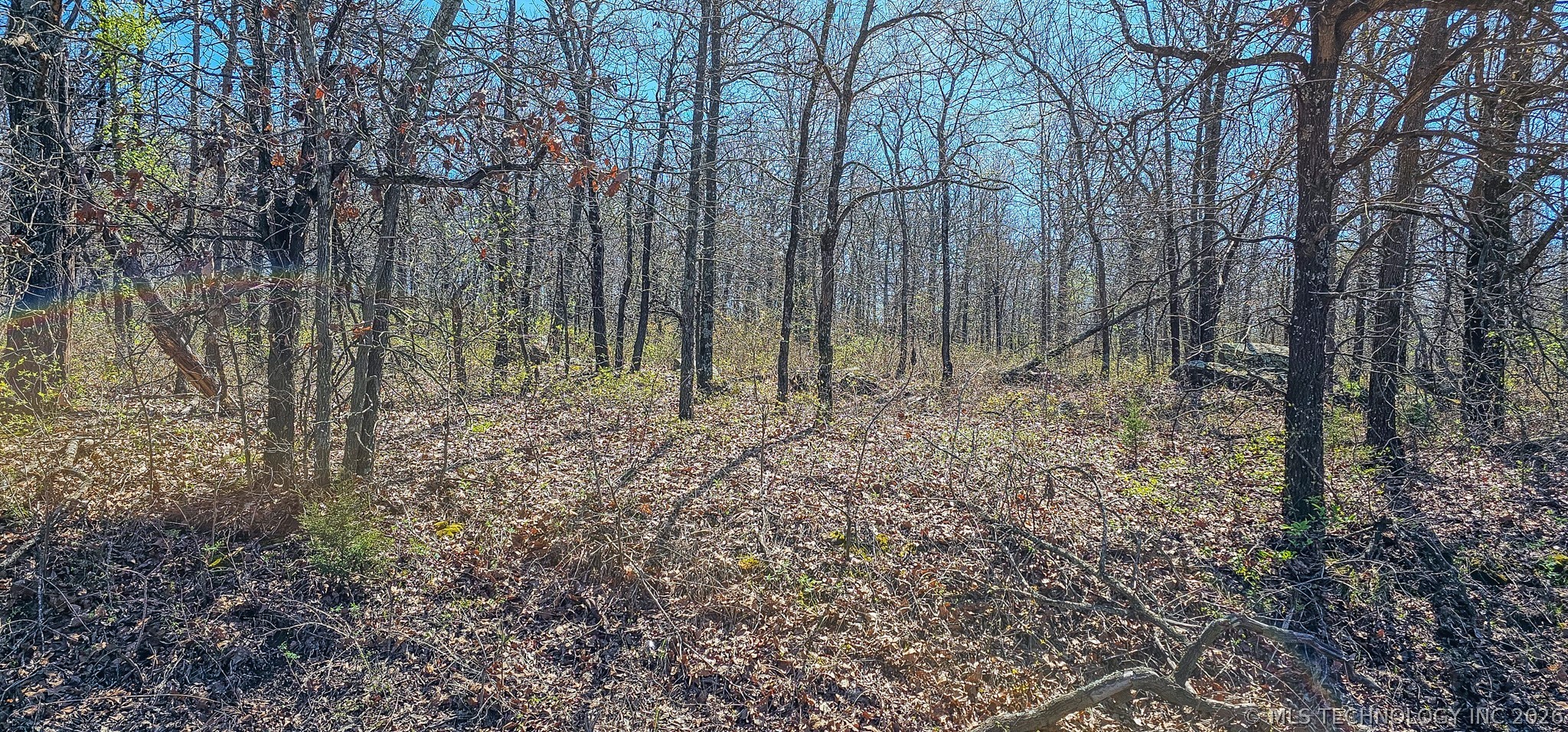 12 Lenna Road Property Photo 2