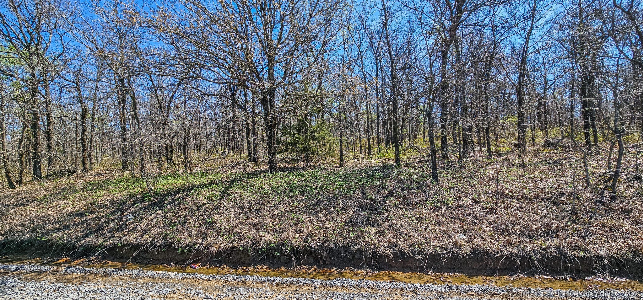 12 Lenna Road Property Photo 19