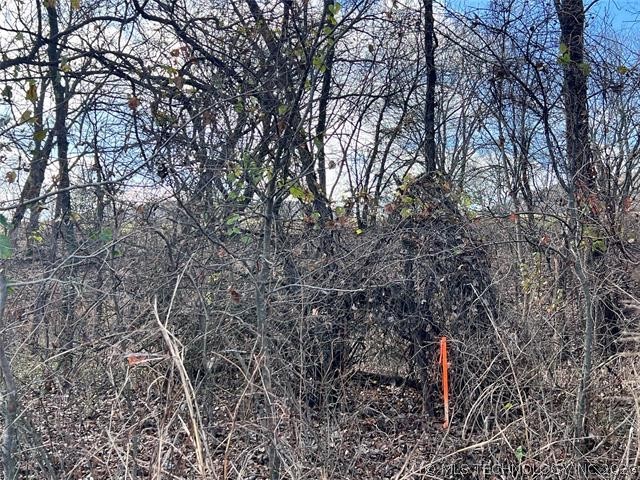 3684 Us Hwy 77 Property Photo 7