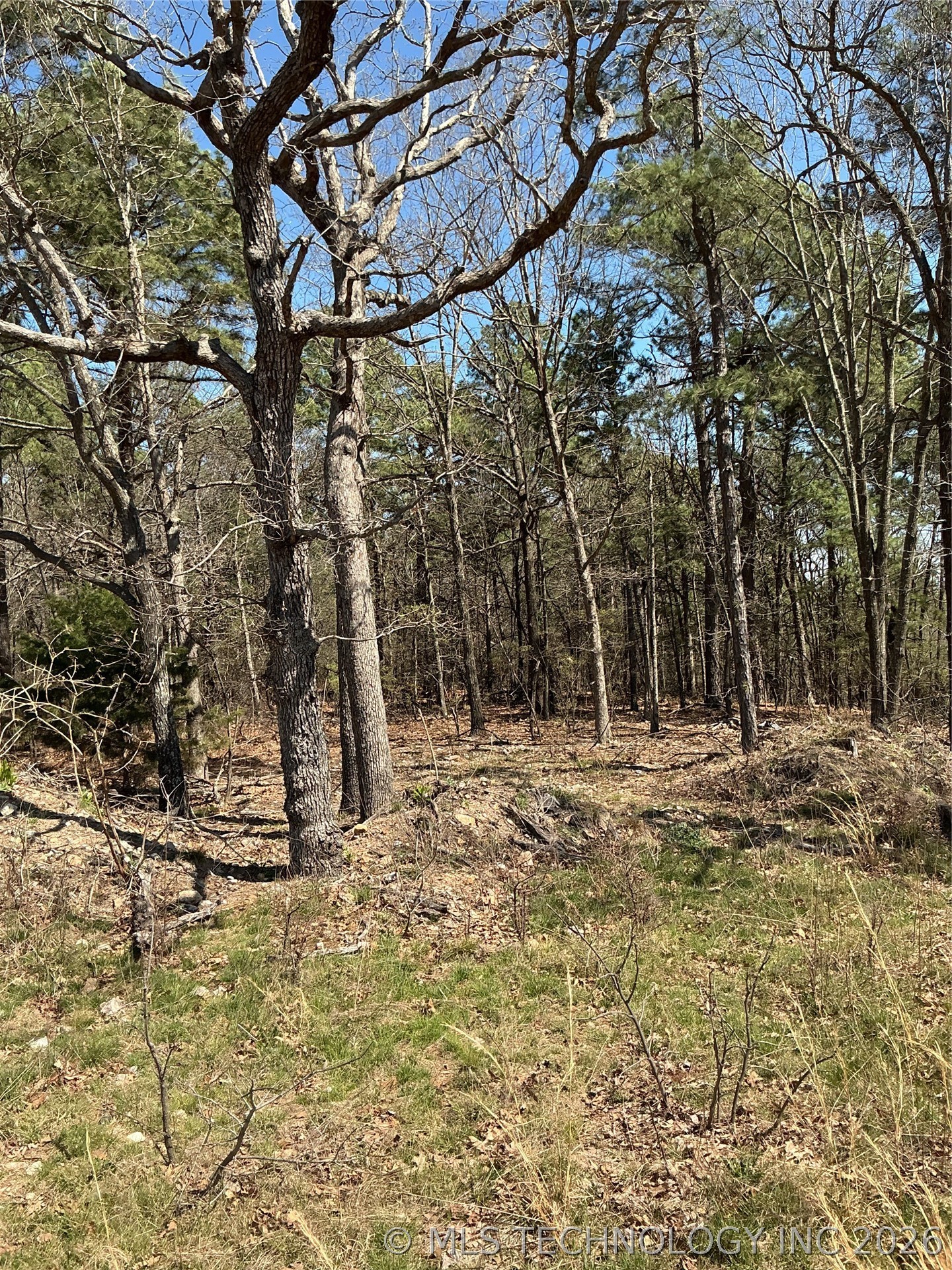 8354 N Hwy 82 Property Photo 22