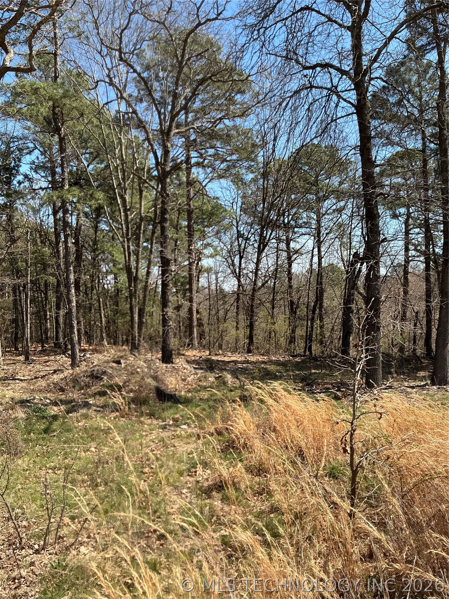 8354 N Hwy 82 Property Photo 23