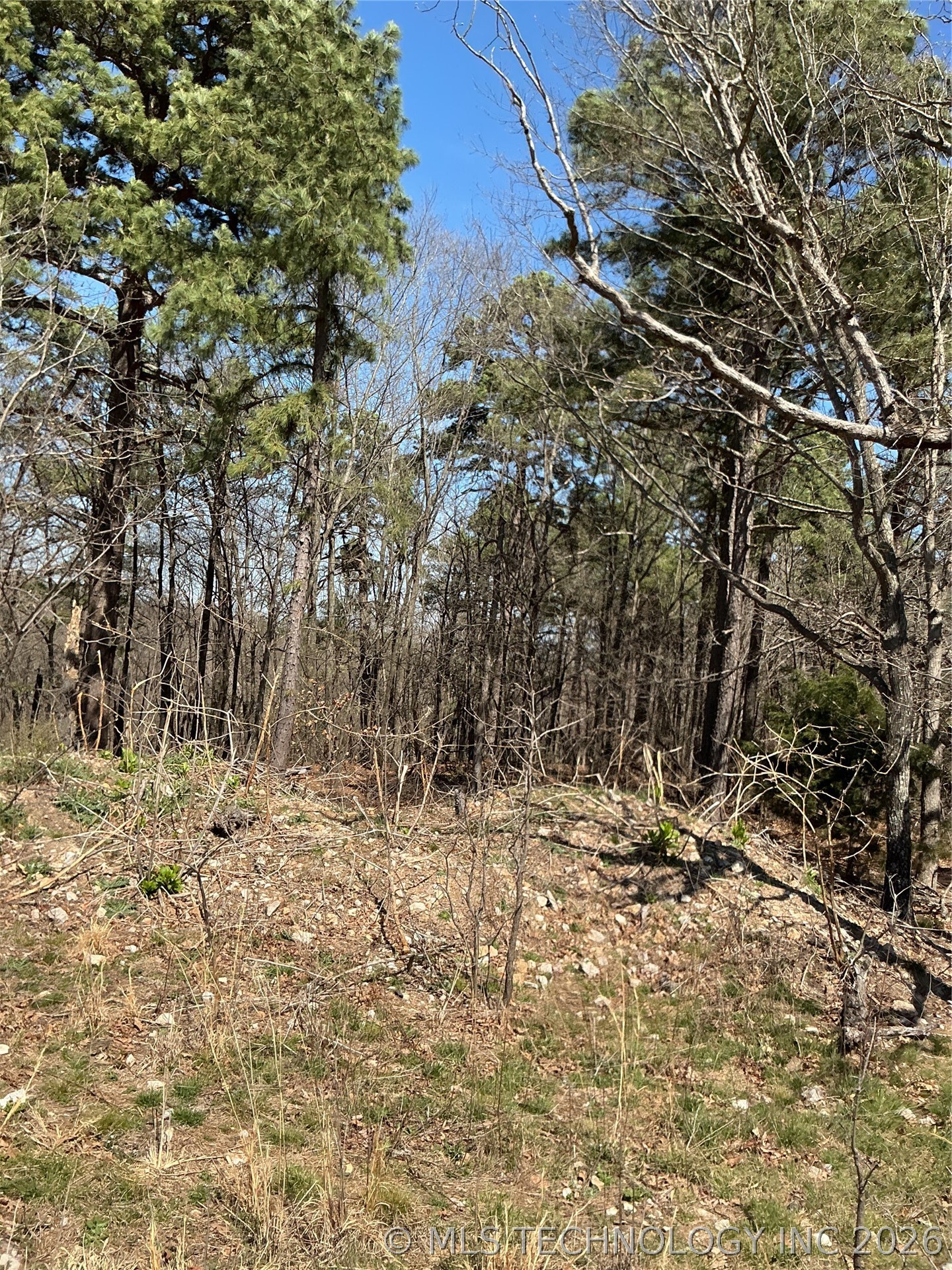 8354 N Hwy 82 Property Photo 24