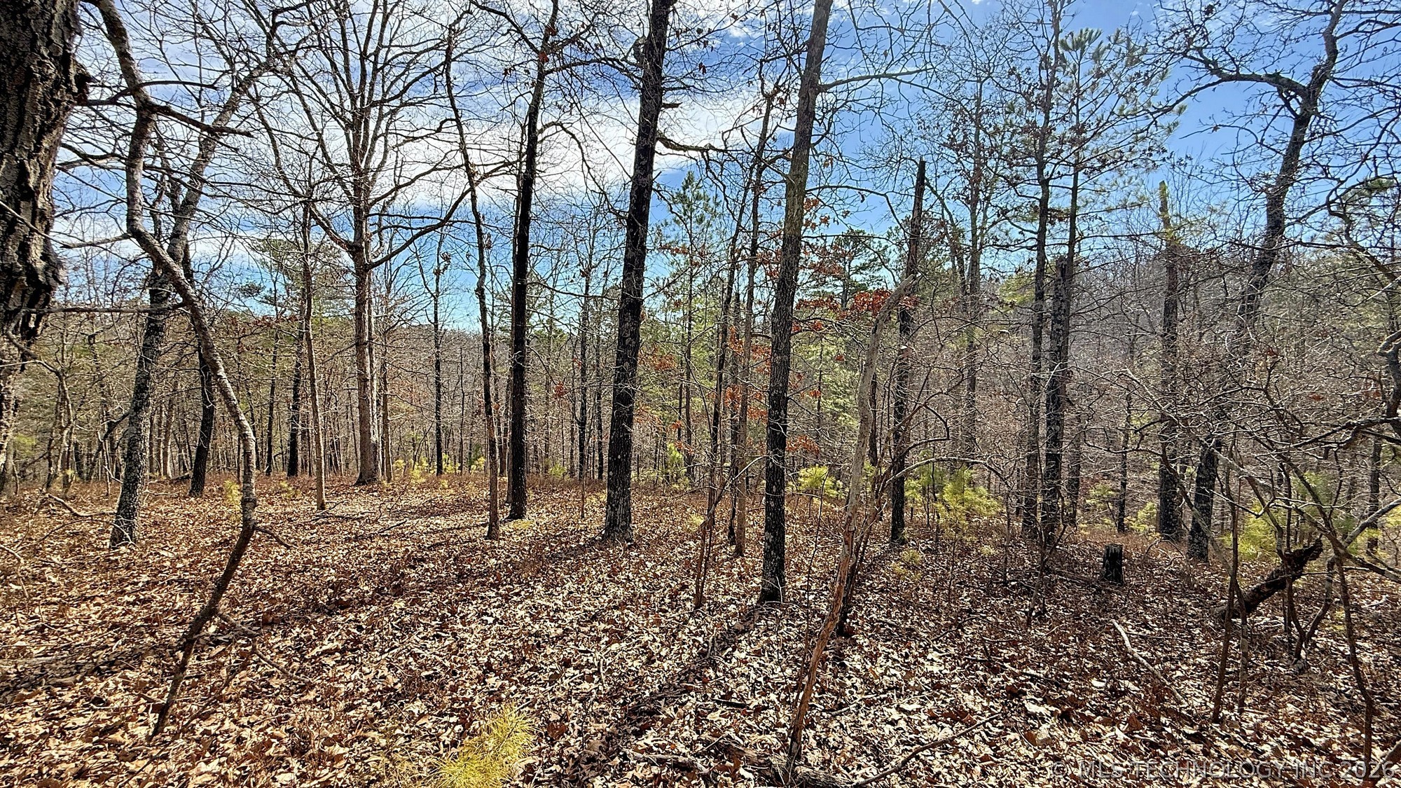 238 Fox Track Trail