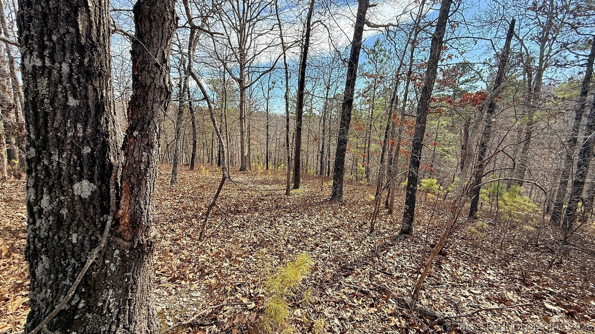 238 Fox Track Trail Property Photo 8