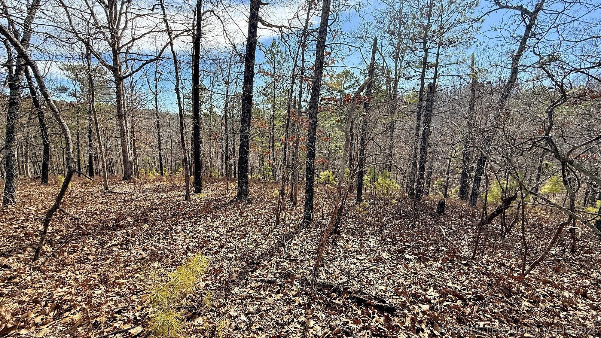 238 Fox Track Trail Property Photo 9