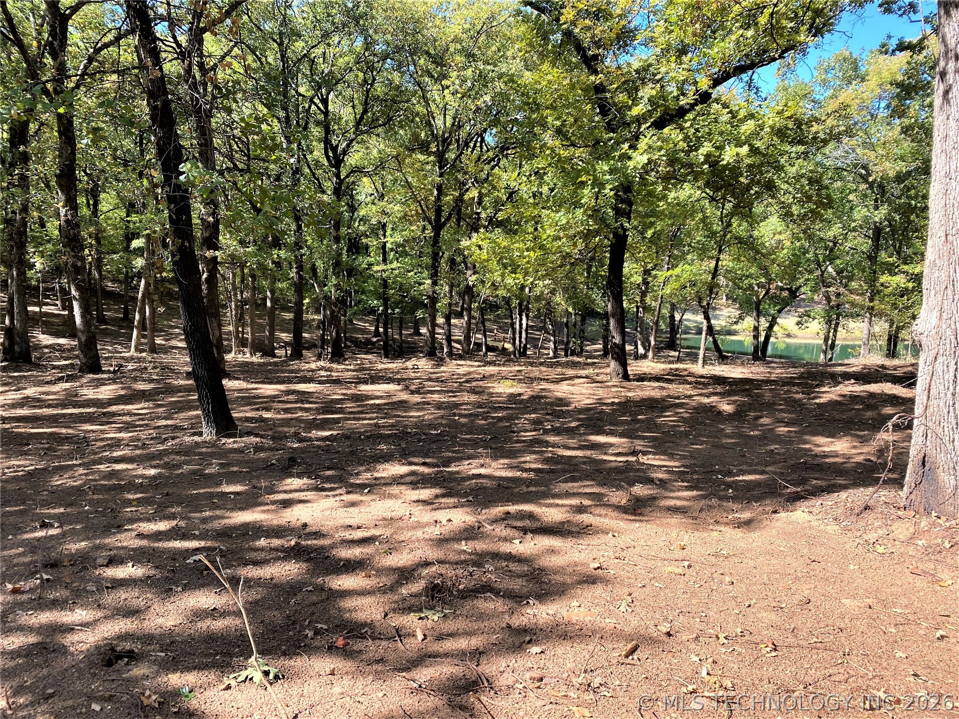 Indian Blanket Lane Property Photo 6