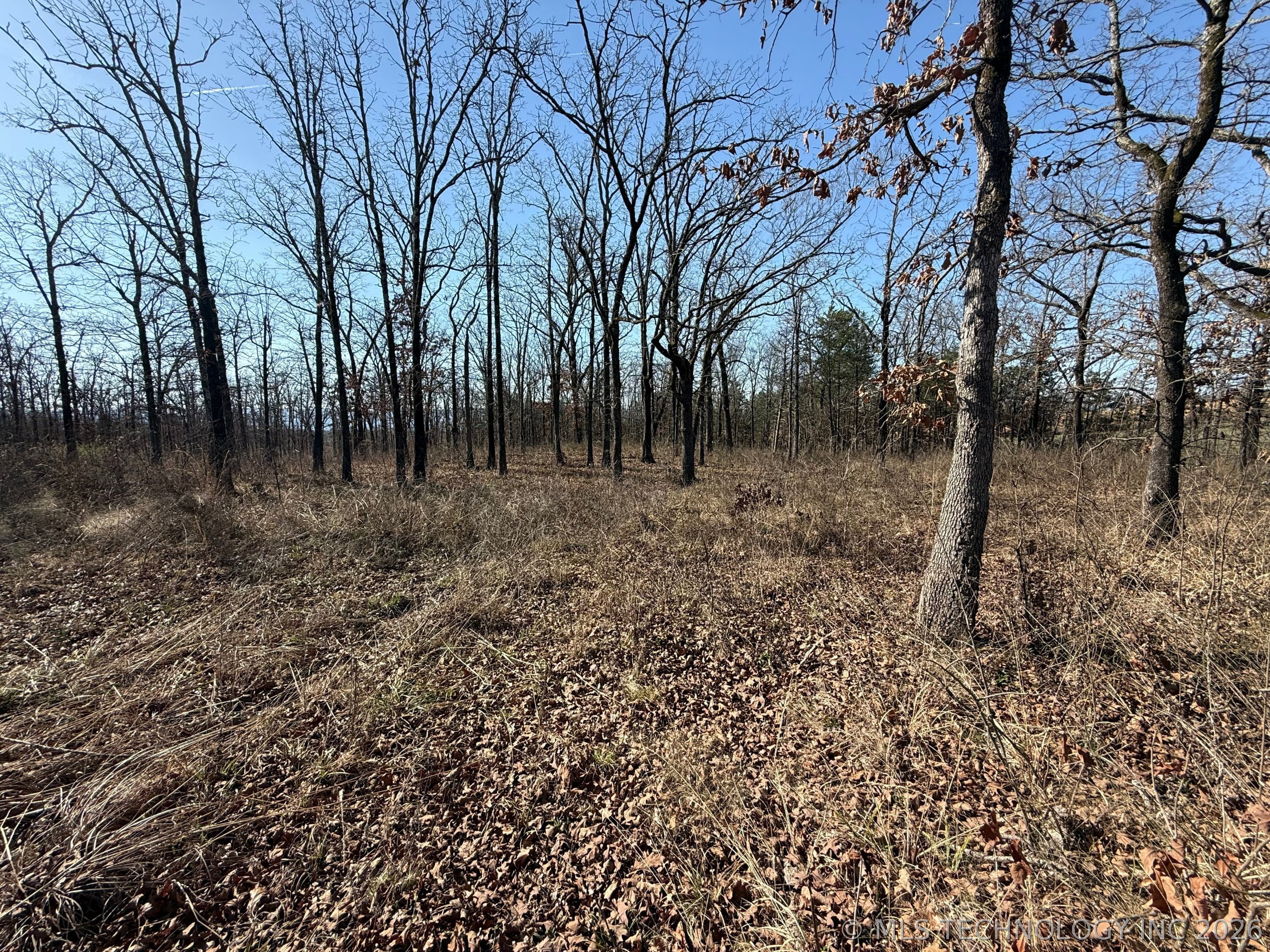 0 Hwy 63 Highway Property Photo 4