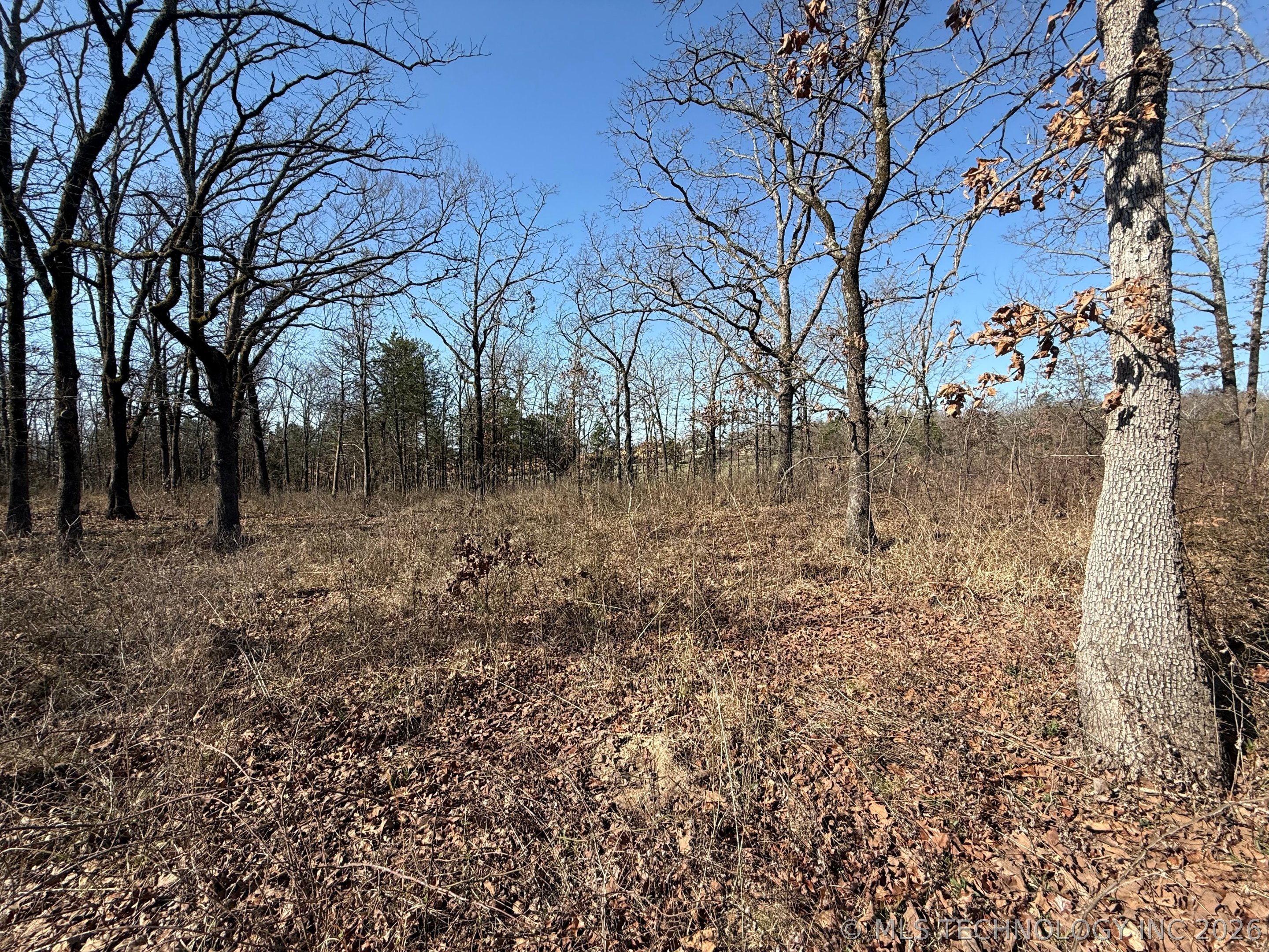0 Hwy 63 Highway Property Photo 5