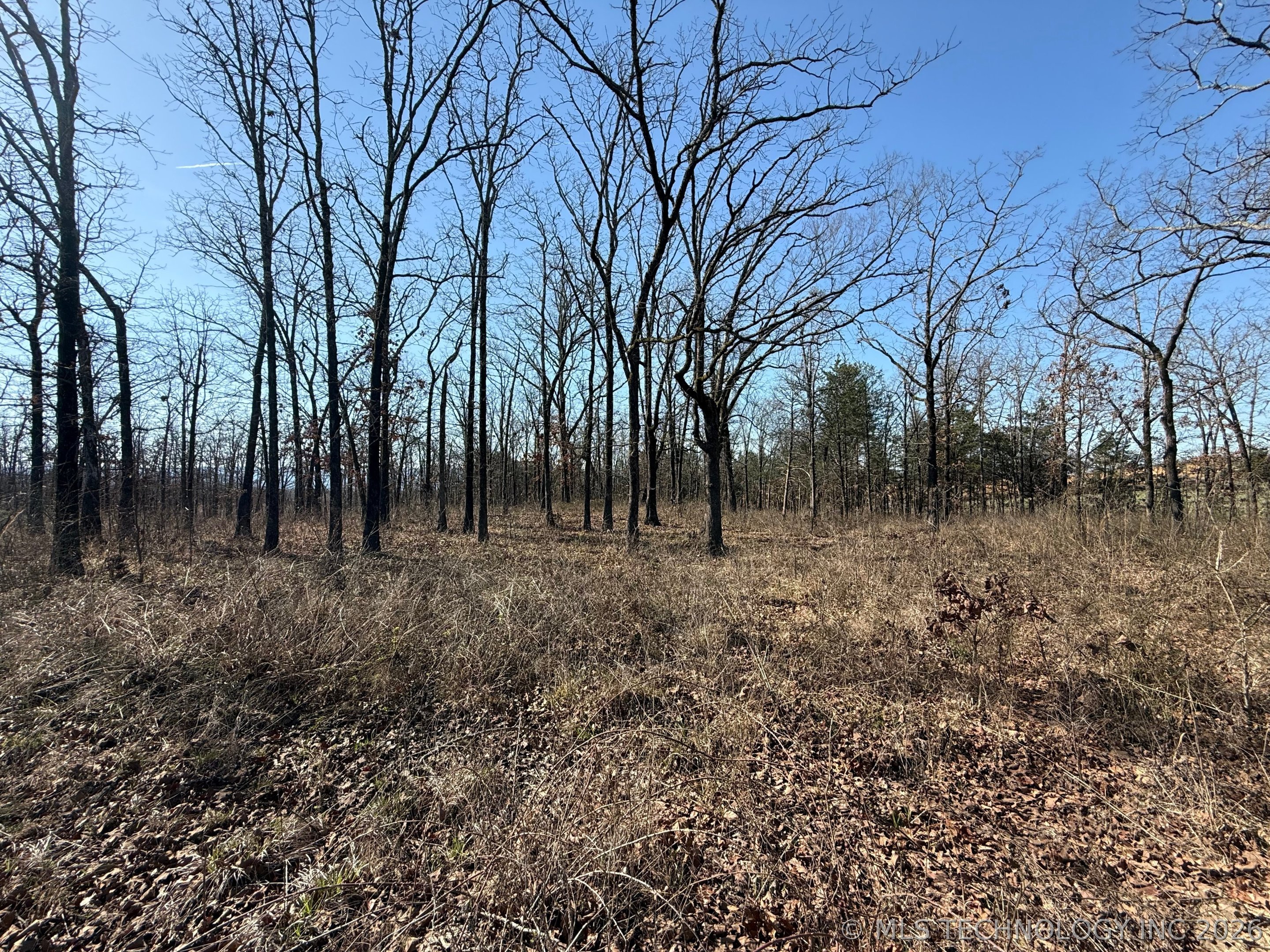 0 Hwy 63 Highway Property Photo 6