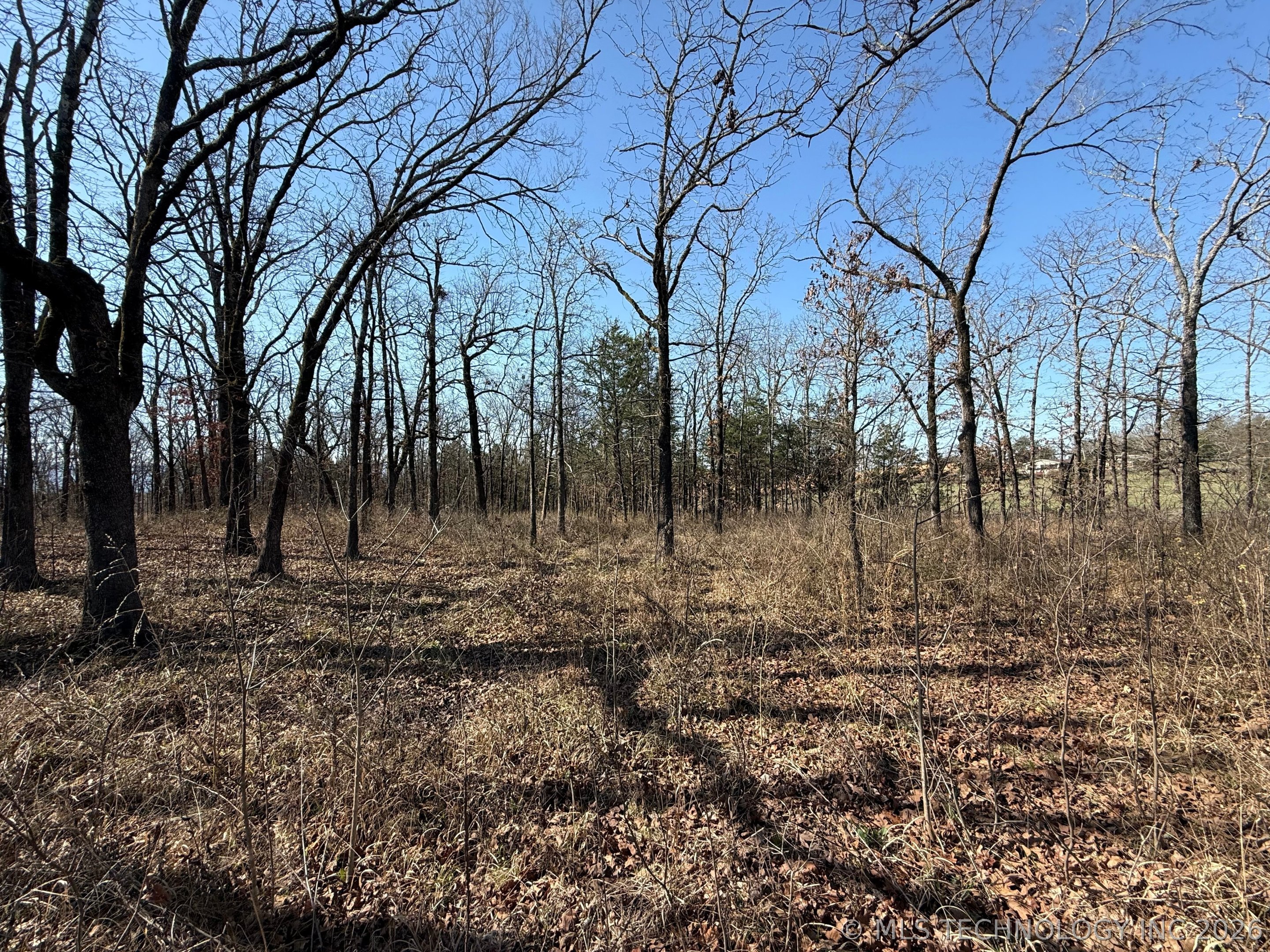 0 Hwy 63 Highway Property Photo 8