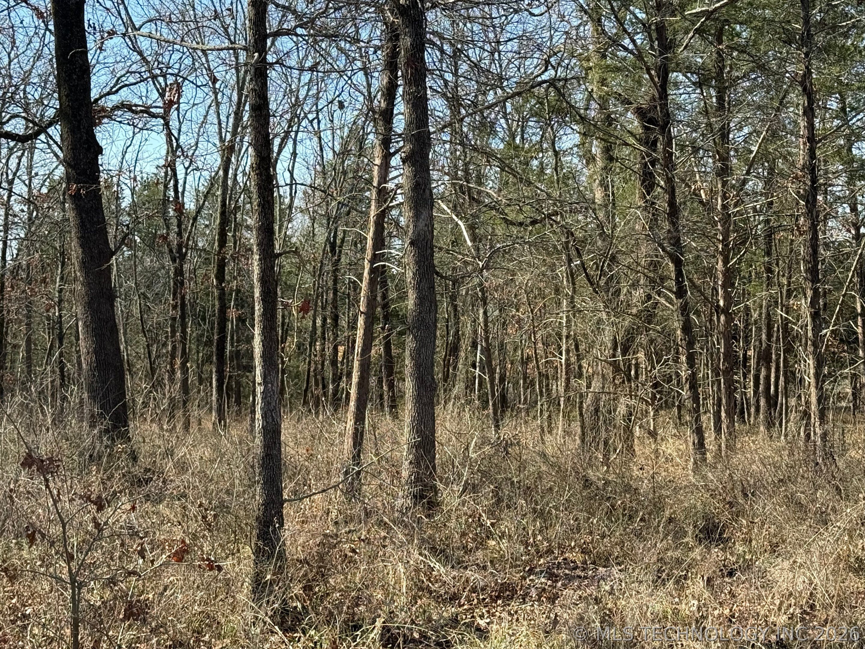 0 Hwy 63 Highway Property Photo 10