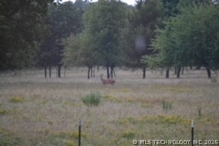 36977 Hwy 70 Property Photo 14