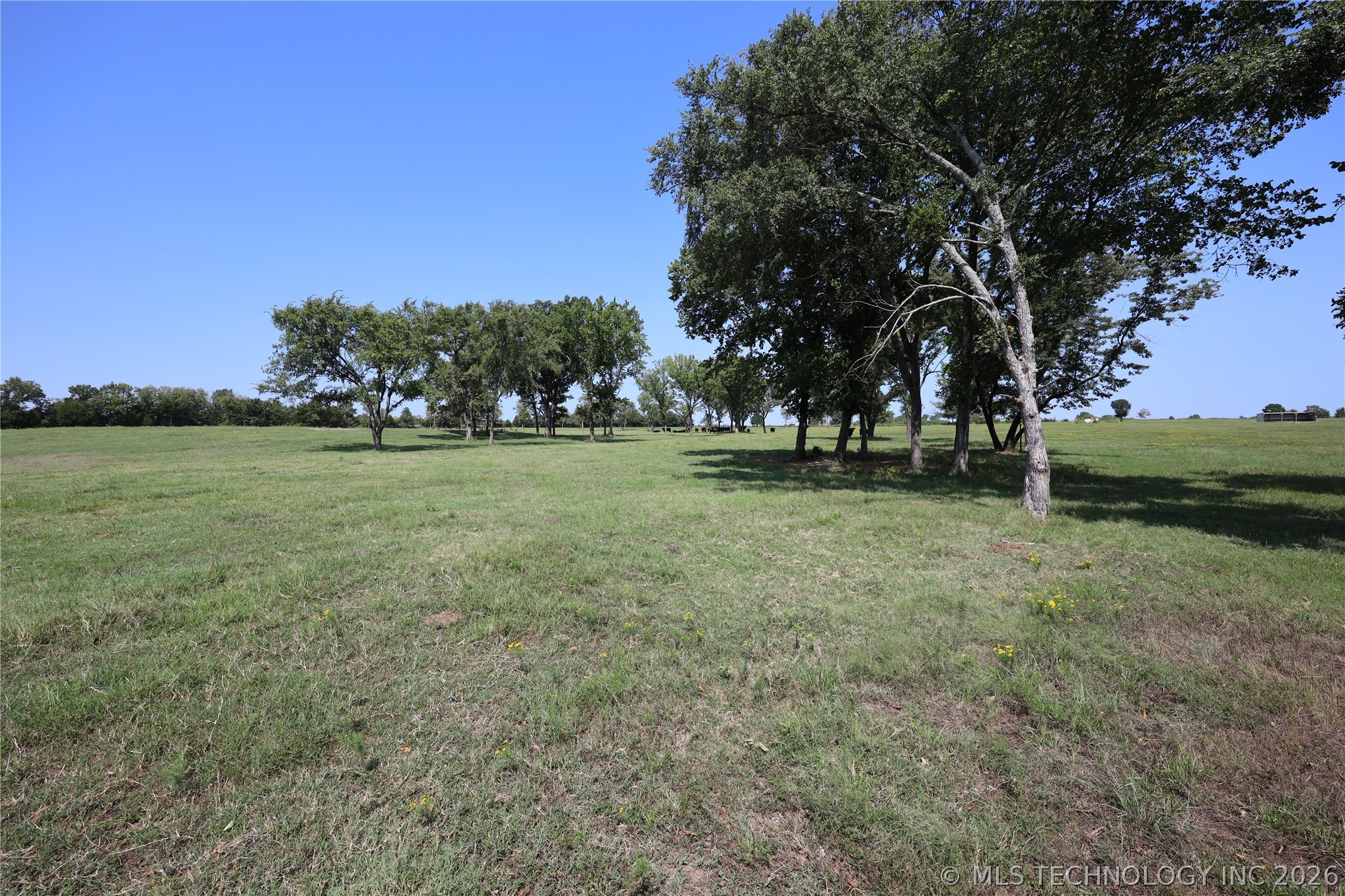 195 Cardell Property Photo 50