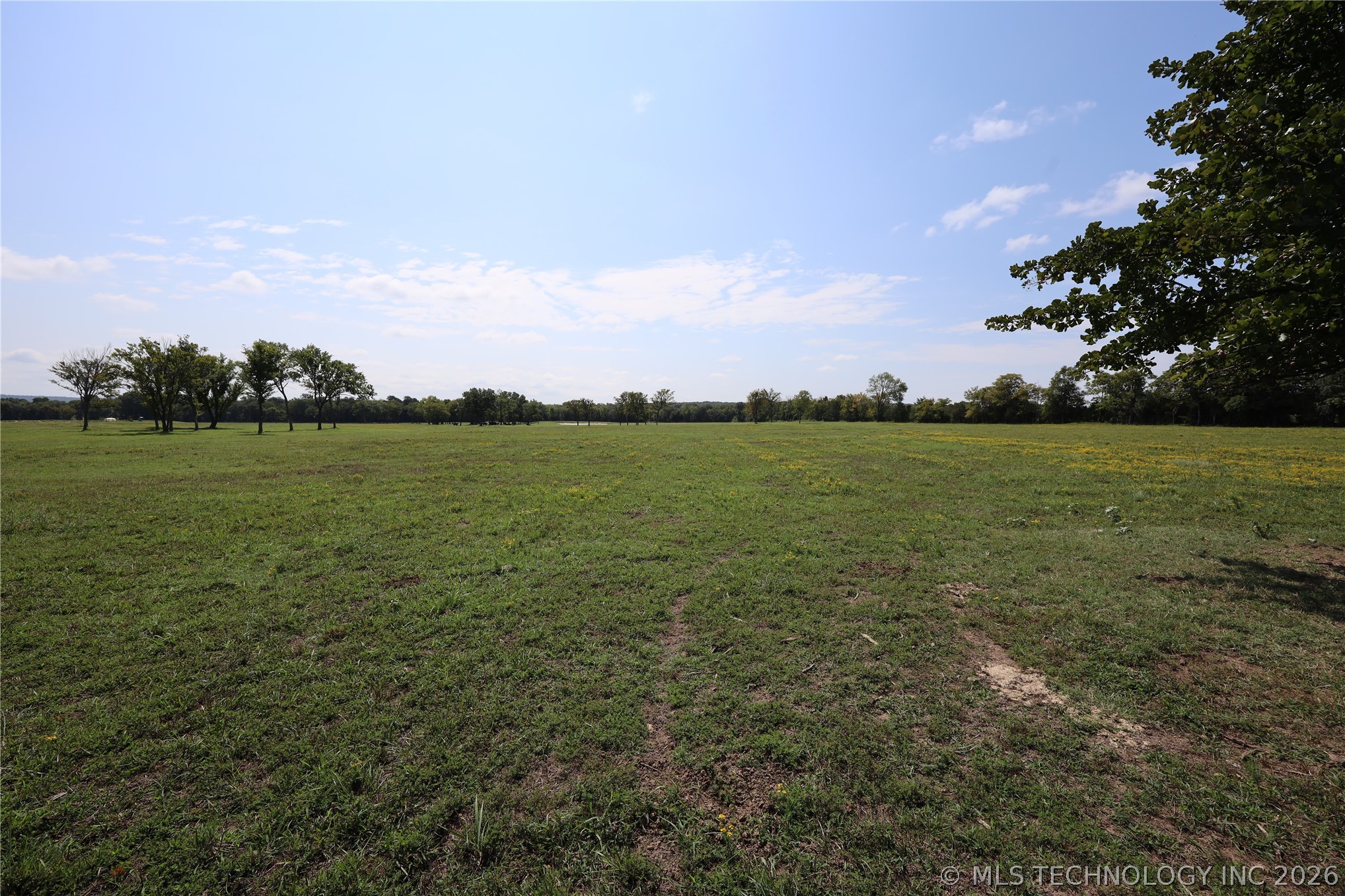 195 Cardell Property Photo 52