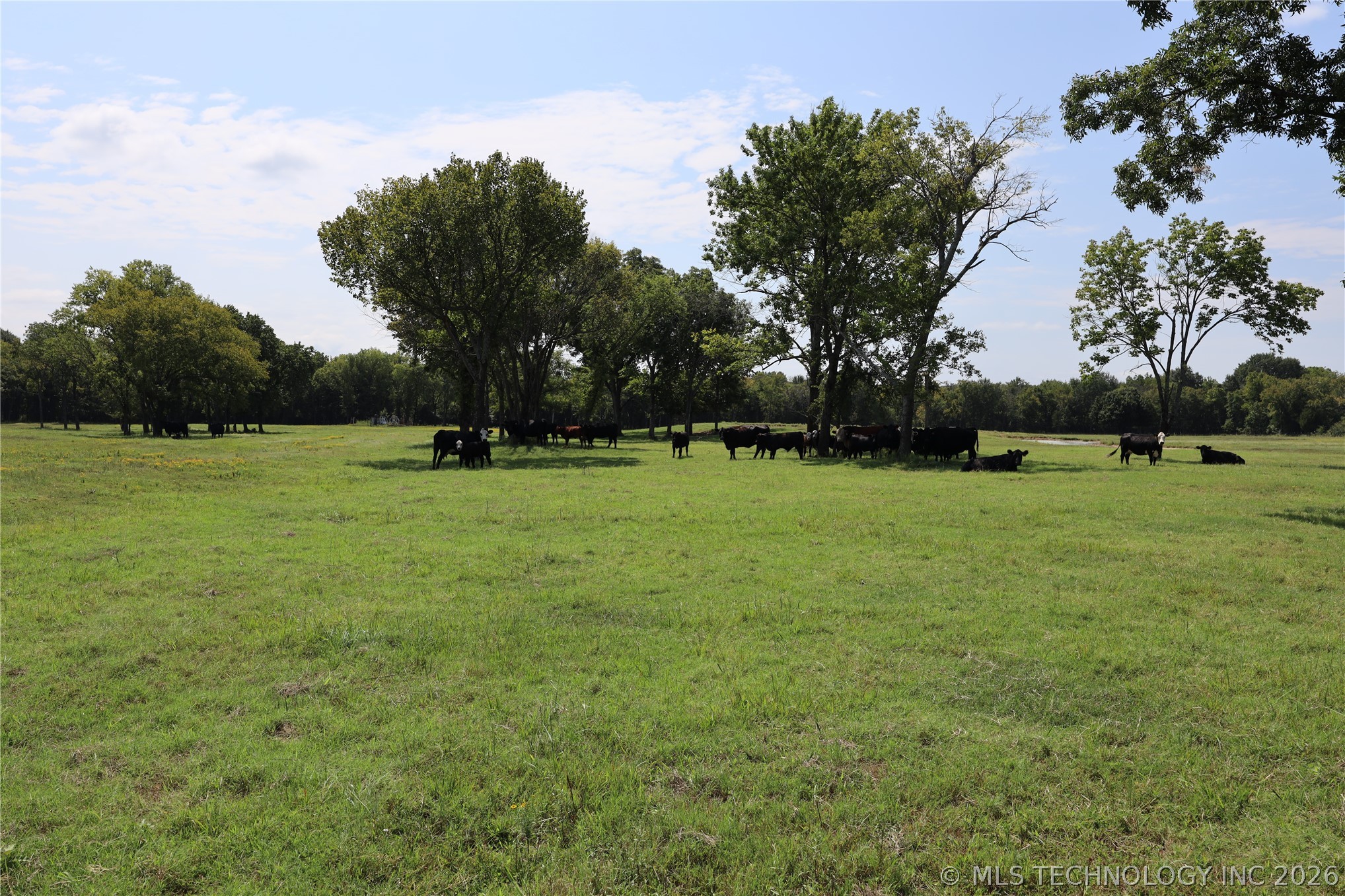 195 Cardell Property Photo 54