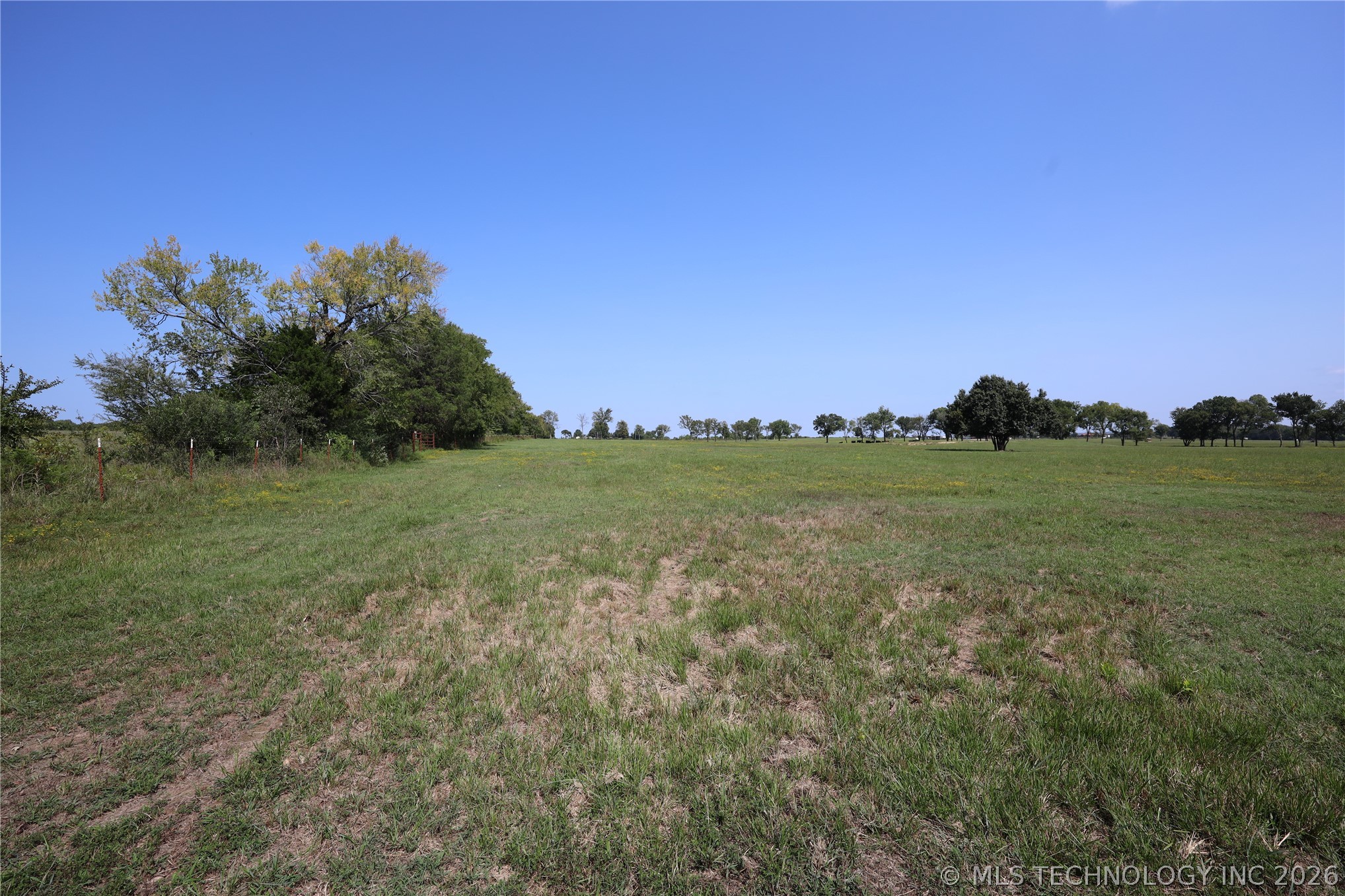 195 Cardell Property Photo 56